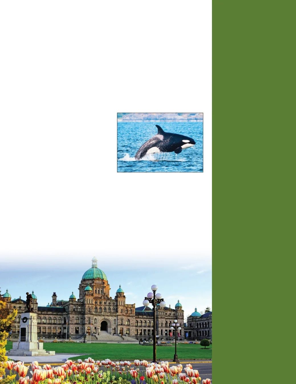 Country Travel Discoveries Fall 2026 Travel Catalog Weekly Ad January 1 - December 31, 2026