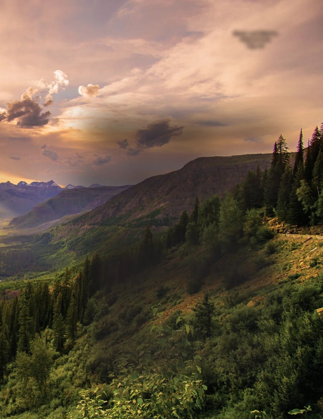 Country Travel Discoveries Fall 2026 Travel Catalog Weekly Ad January 1 - December 31, 2026