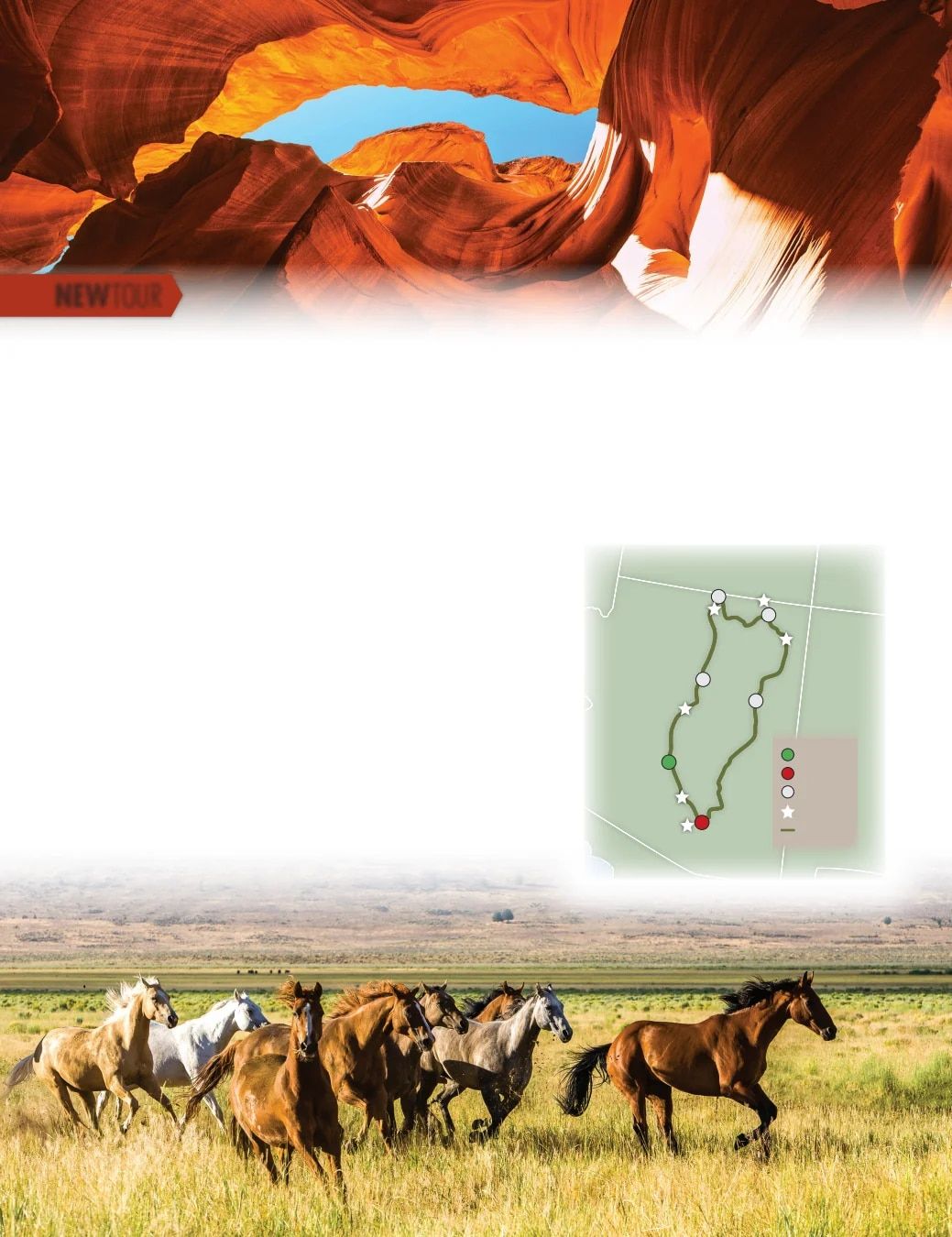 Country Travel Discoveries Fall 2026 Travel Catalog Weekly Ad January 1 - December 31, 2026