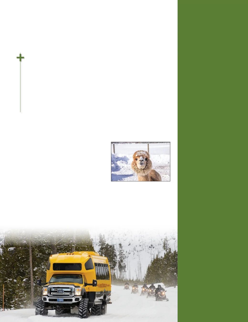 Country Travel Discoveries Fall 2026 Travel Catalog Weekly Ad January 1 - December 31, 2026