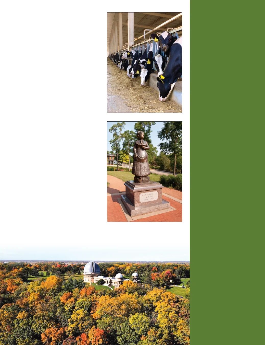 Country Travel Discoveries Fall 2026 Travel Catalog Weekly Ad January 1 - December 31, 2026