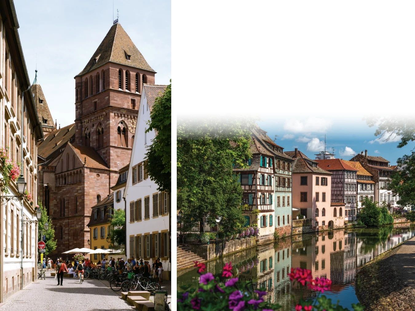 Country Travel Discoveries International Travel Catalog Weekly Ad January 1 - December 31, 2026