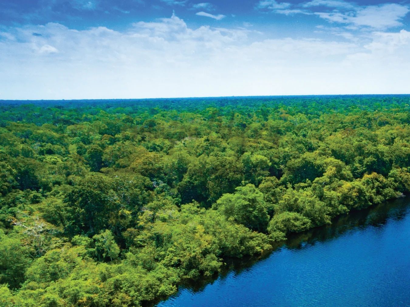 Country Travel Discoveries International Travel Catalog Weekly Ad January 1 - December 31, 2026