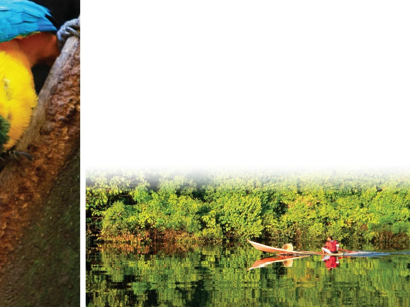 Country Travel Discoveries International Travel Catalog Weekly Ad January 1 - December 31, 2026
