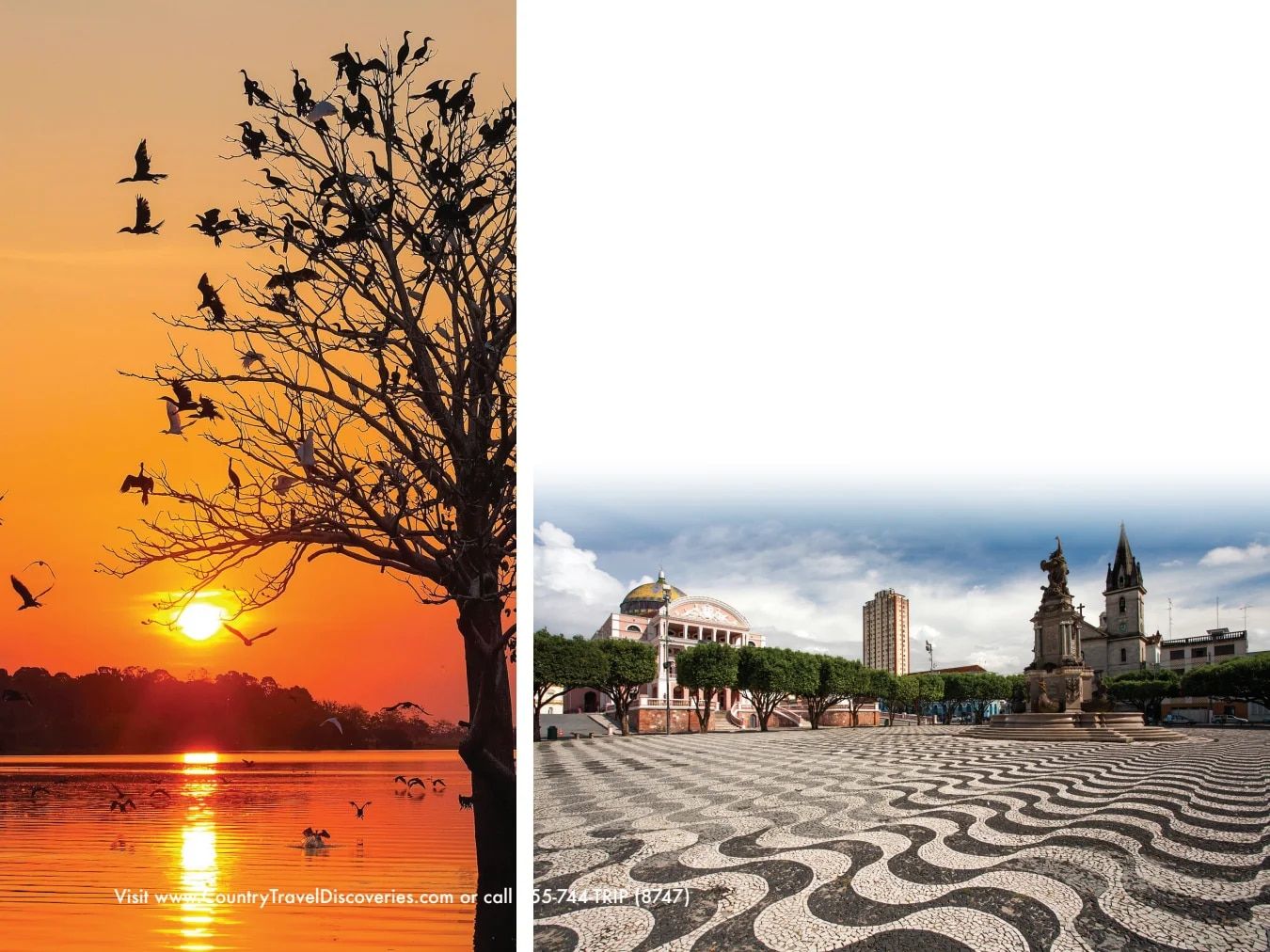Country Travel Discoveries International Travel Catalog Weekly Ad January 1 - December 31, 2026