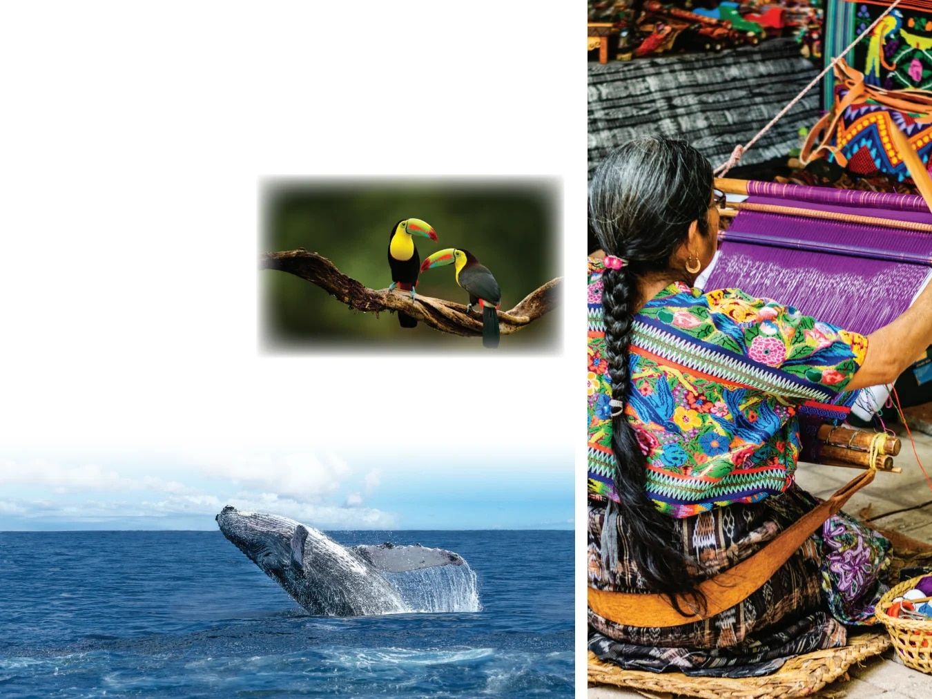 Country Travel Discoveries International Travel Catalog Weekly Ad January 1 - December 31, 2026