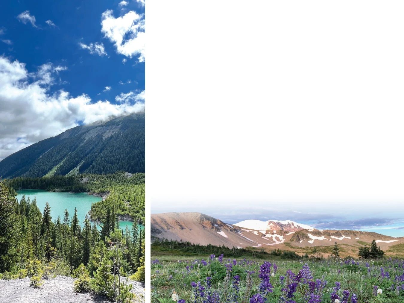 Country Travel Discoveries National Parks Catalog Weekly Ad January 1 - December 31, 2026