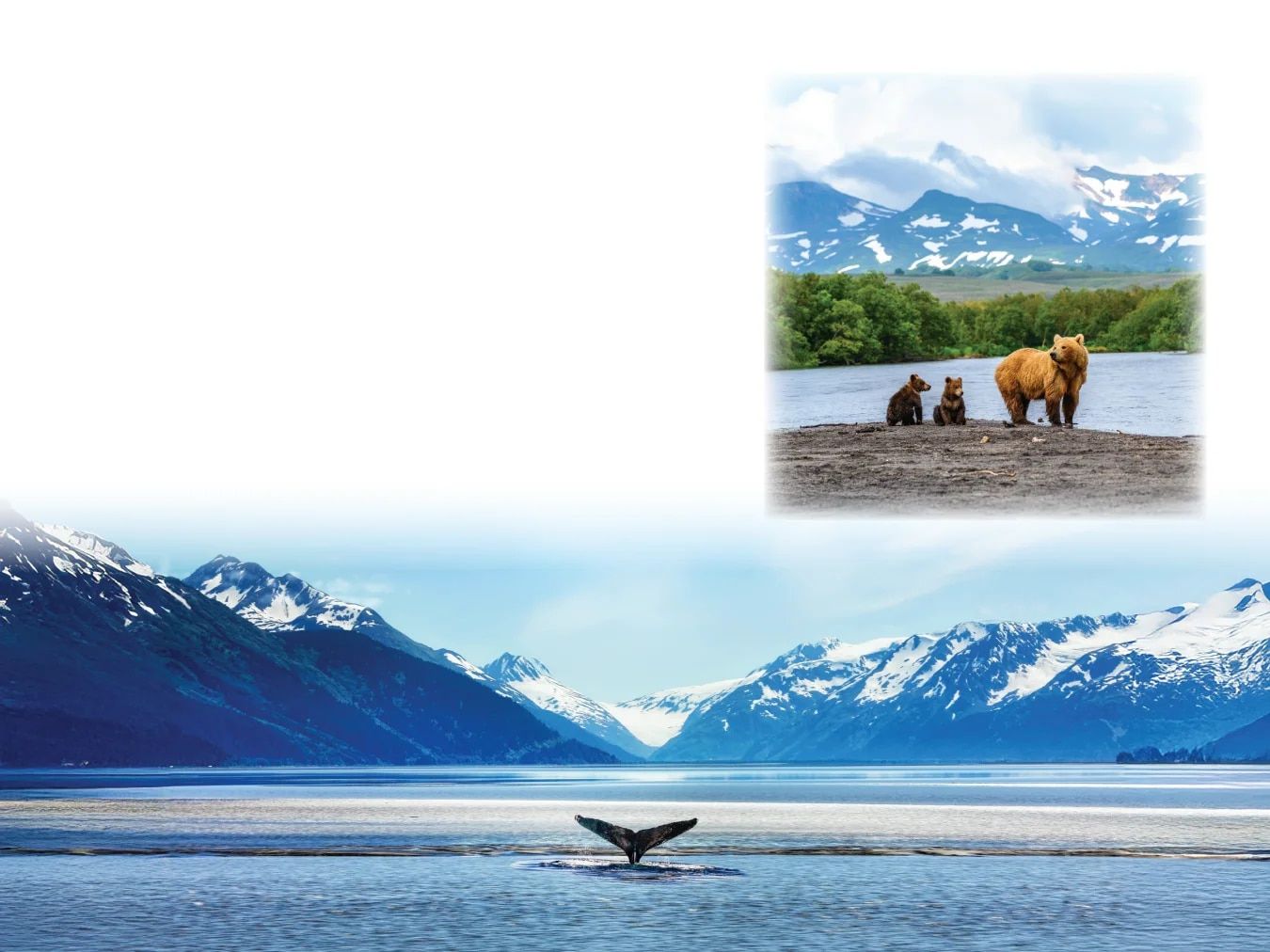 Country Travel Discoveries National Parks Catalog Weekly Ad January 1 - December 31, 2026