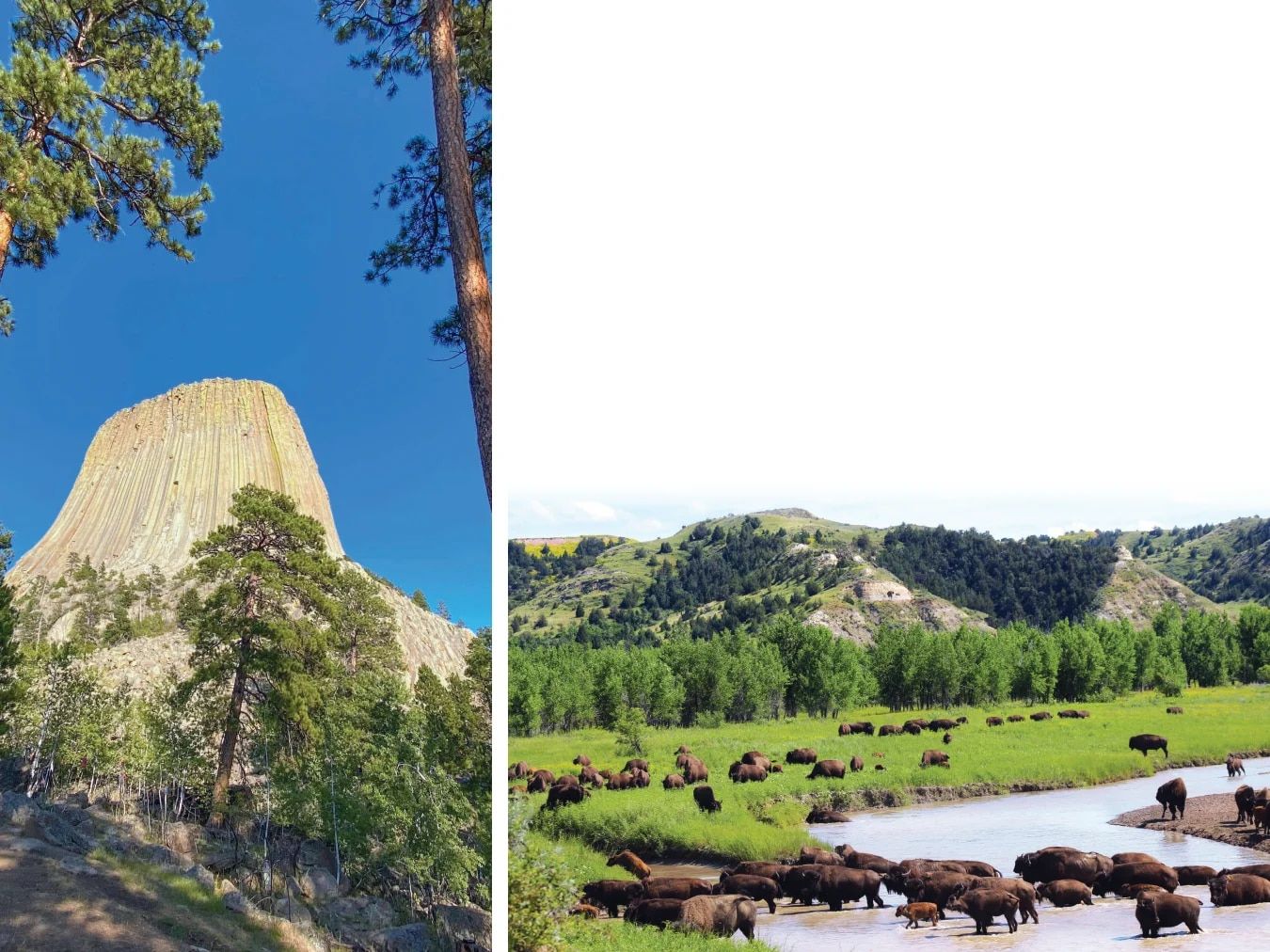 Country Travel Discoveries National Parks Catalog Weekly Ad January 1 - December 31, 2026