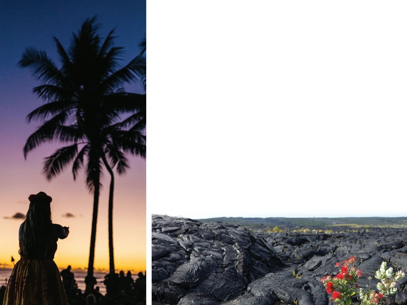 Country Travel Discoveries National Parks Catalog Weekly Ad January 1 - December 31, 2026