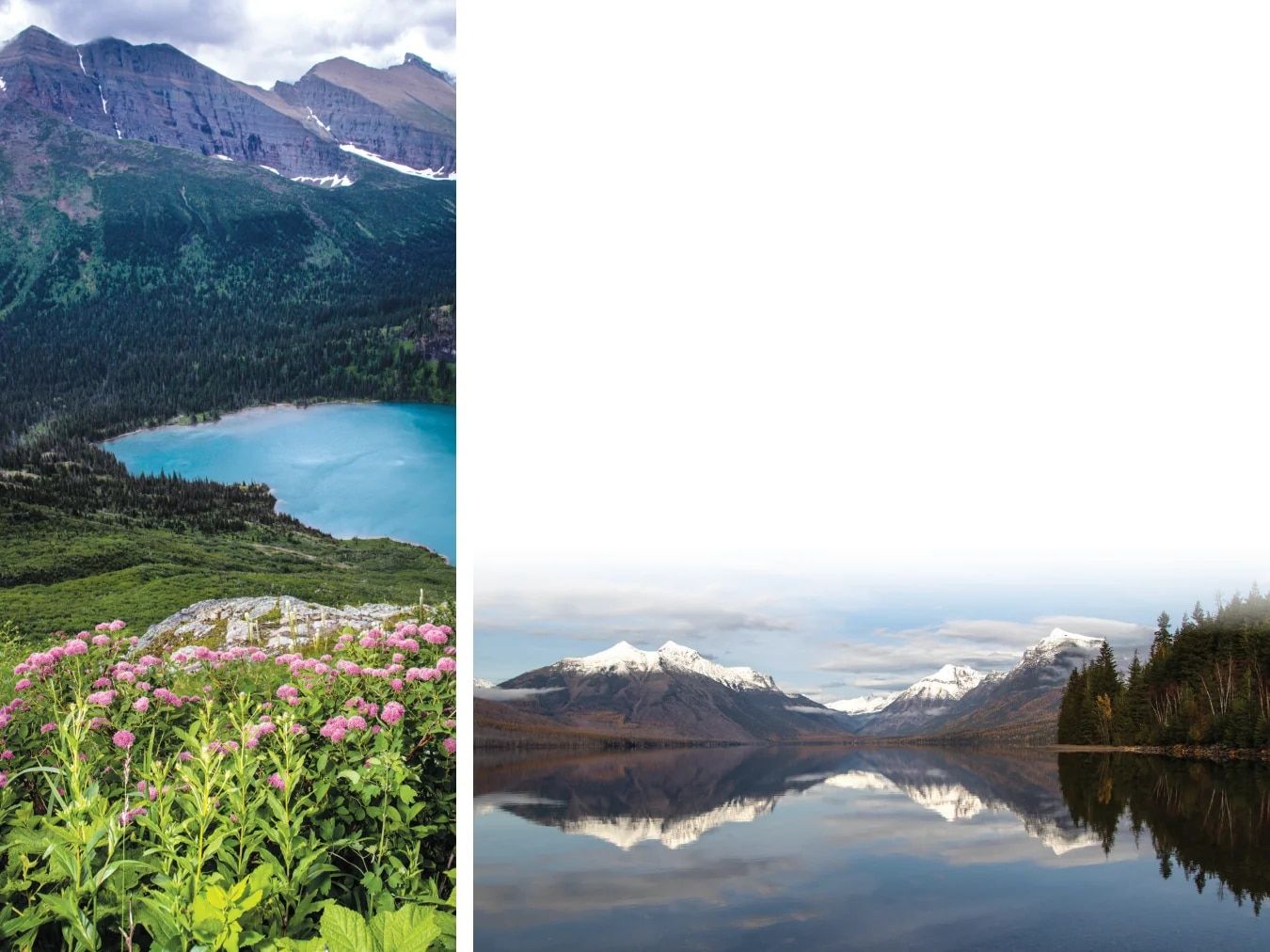 Country Travel Discoveries National Parks Catalog Weekly Ad January 1 - December 31, 2026