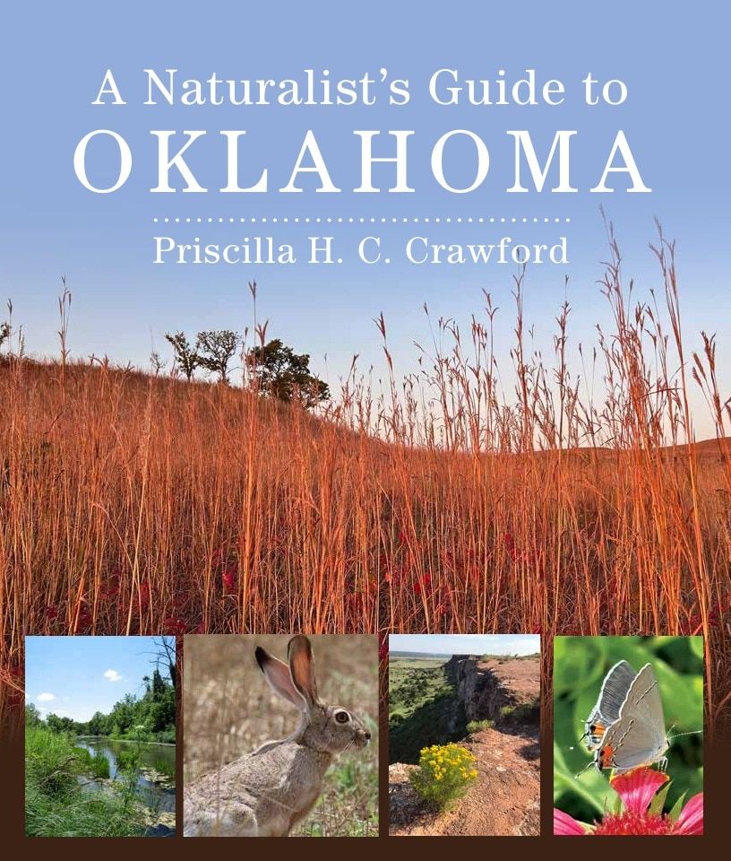 University of Oklahoma Press Spring 2026 Catalog Weekly Ad December 31, 2025 - December 31, 2026