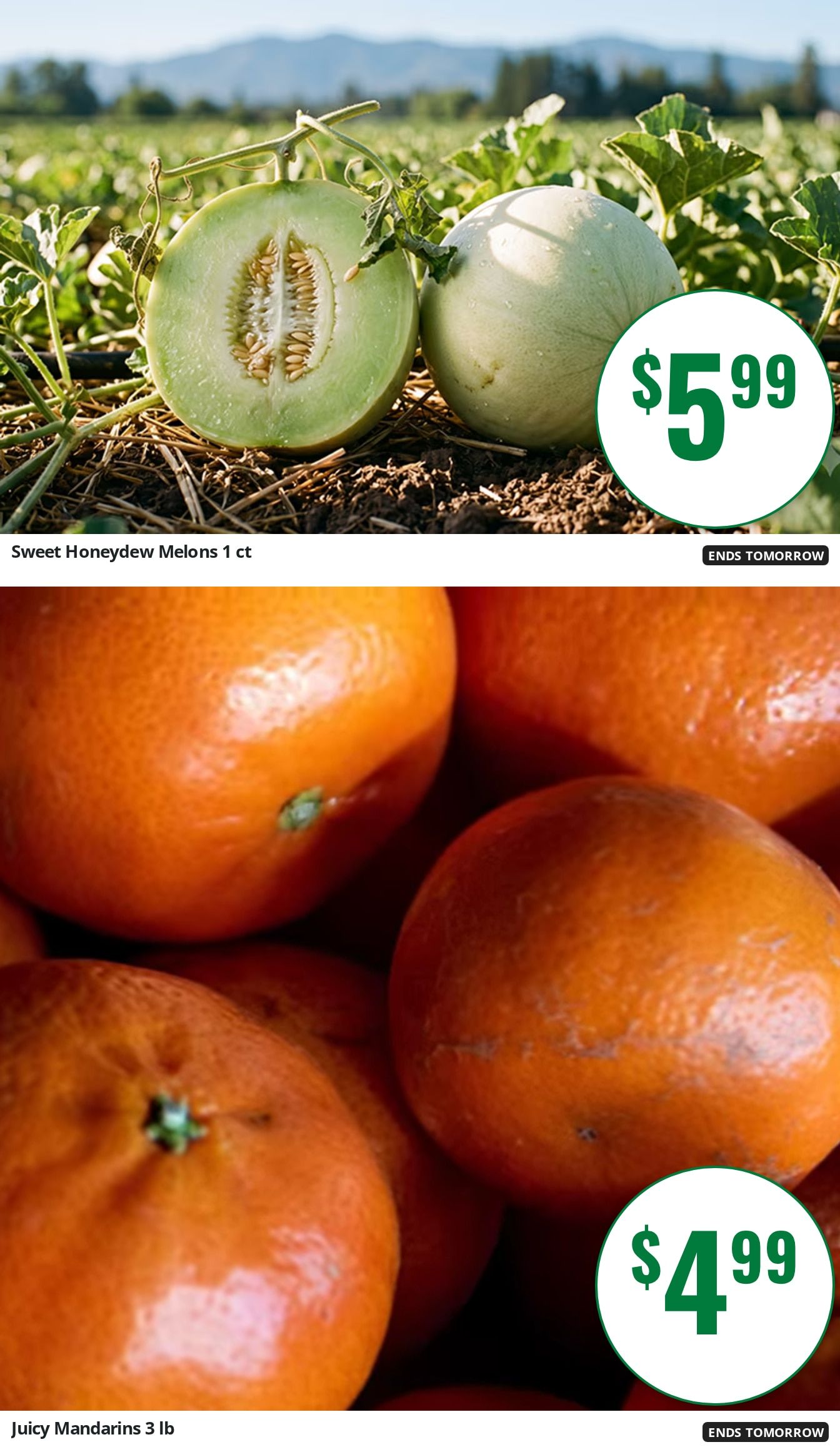 Vincent's Country Store Weekly Ad August 22 - 28, 2026