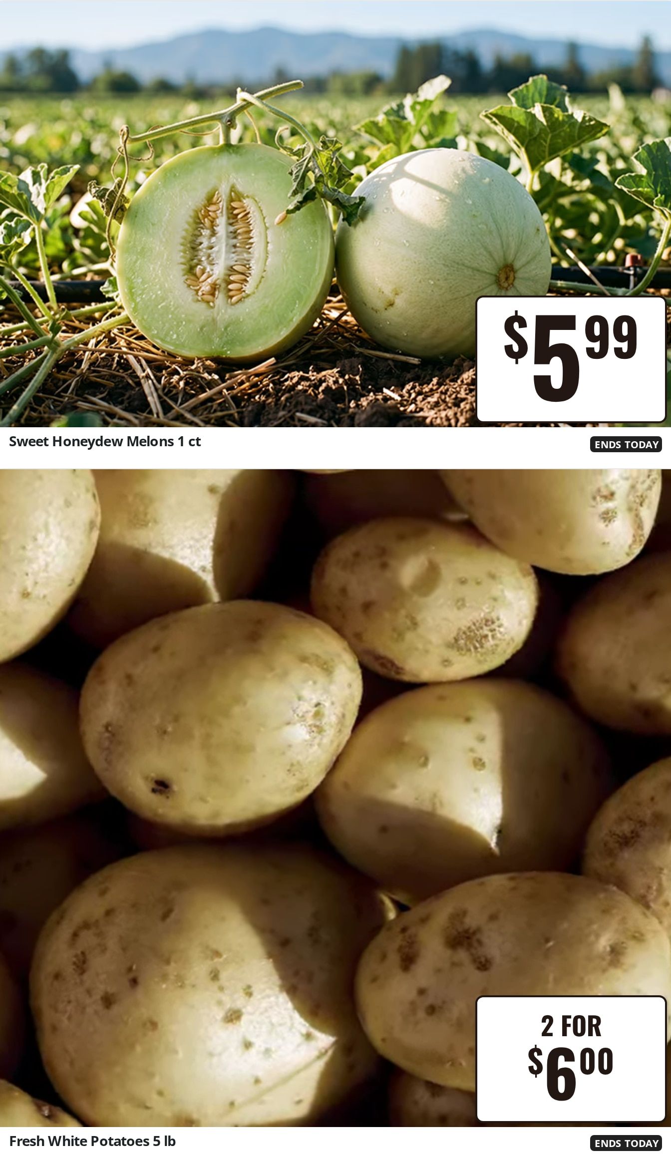 Jericho Market Weekly Ad August 21 - 27, 2026
