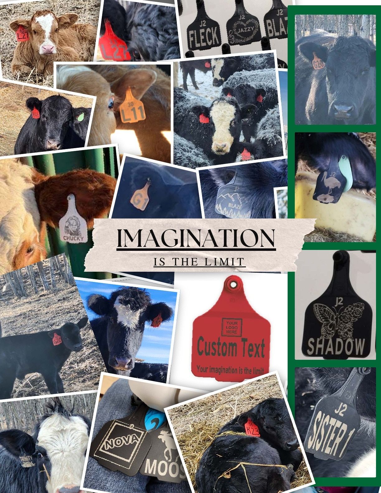 J2 Farm Supply Calving Catalogue Weekly Ad January 1 - December 31, 2026
