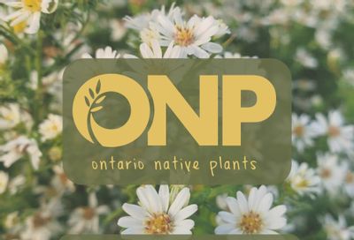Ontario Native Plants Spring Catalog Weekly Ad March 1 - September 30, 2026