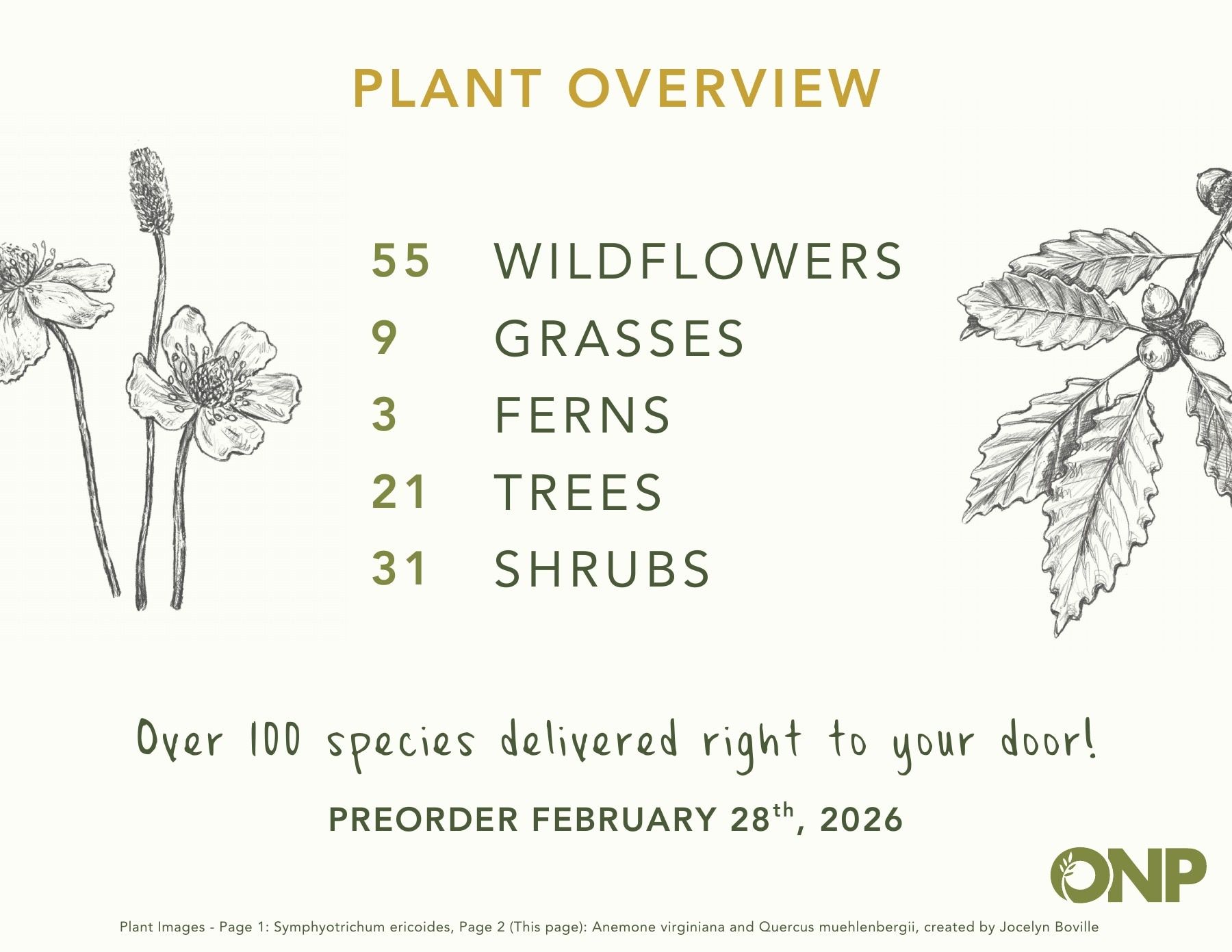 Ontario Native Plants Spring Catalog Weekly Ad March 1 - September 30, 2026