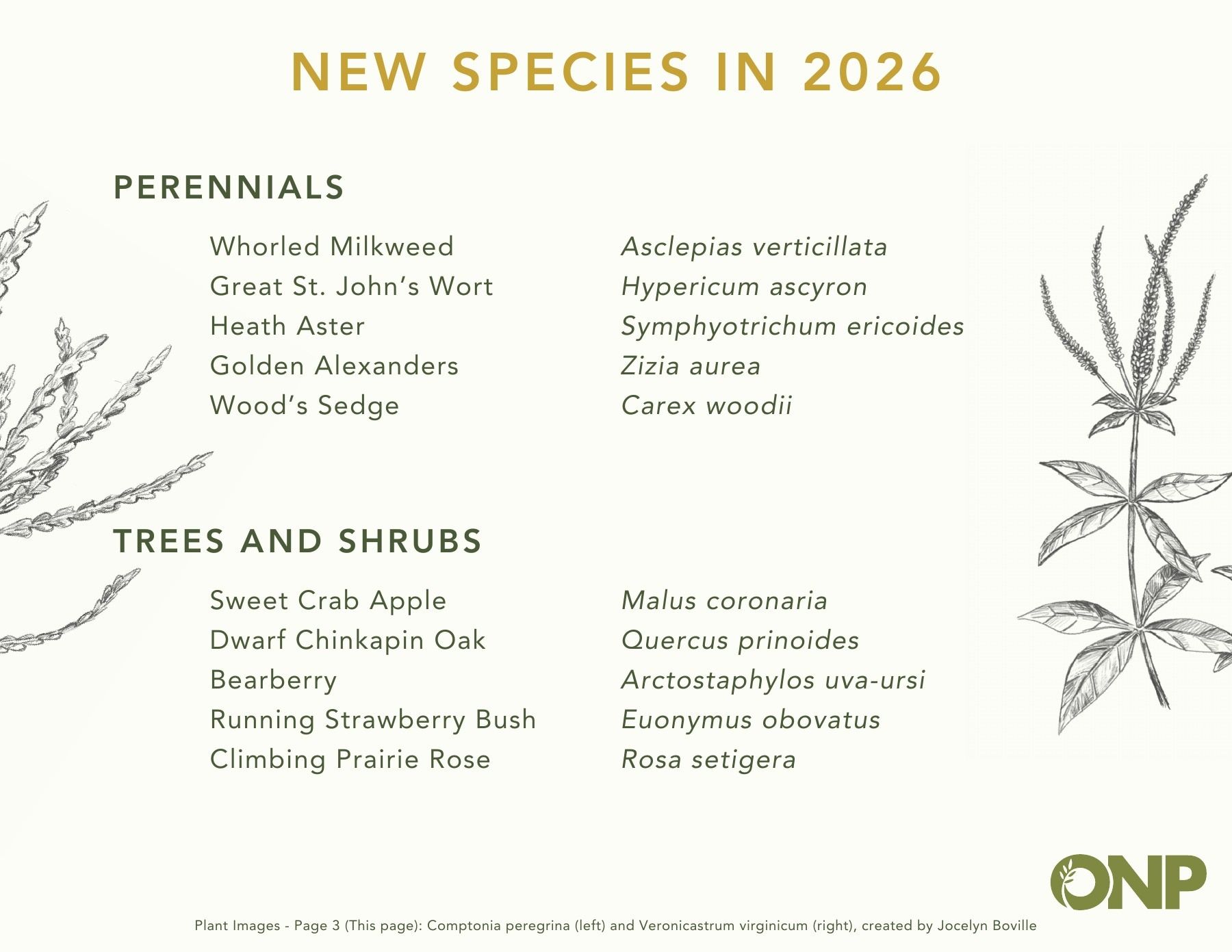 Ontario Native Plants Spring Catalog Weekly Ad March 1 - September 30, 2026