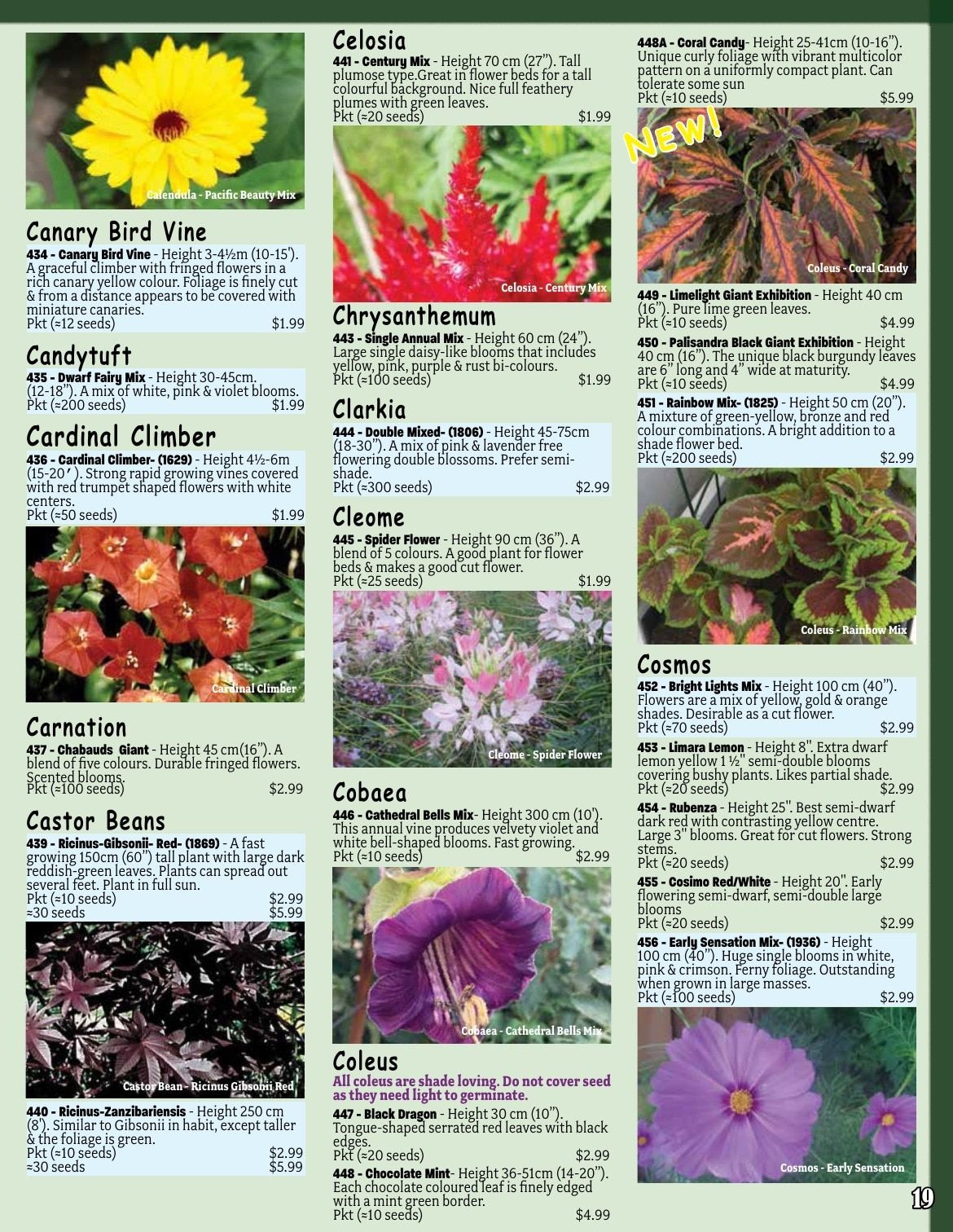 Early's Farm & Garden Centre Seed Catalogue Weekly Ad January 1 - December 31, 2026