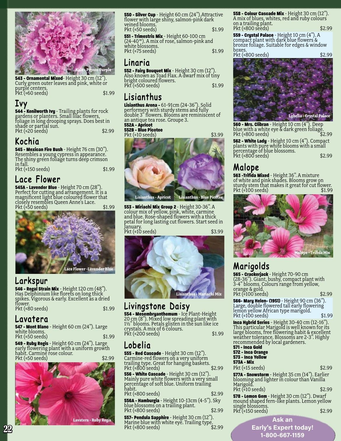 Early's Farm & Garden Centre Seed Catalogue Weekly Ad January 1 - December 31, 2026