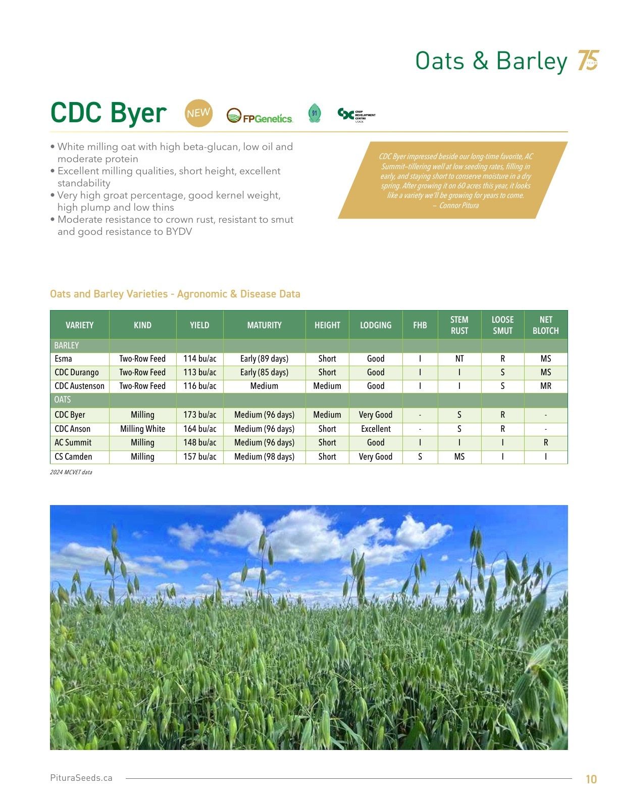 Pitura Seeds Seed Guide Weekly Ad January 1 - December 31, 2026