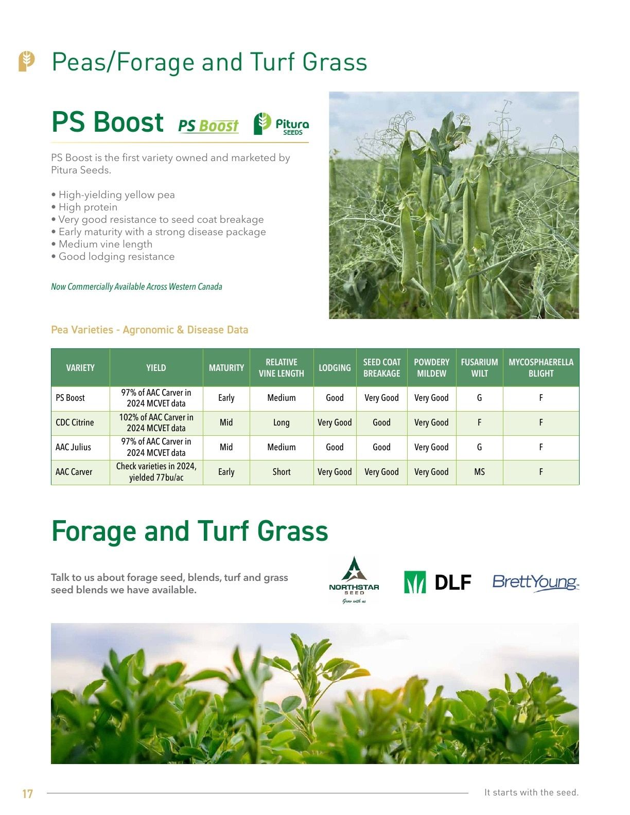 Pitura Seeds Seed Guide Weekly Ad January 1 - December 31, 2026