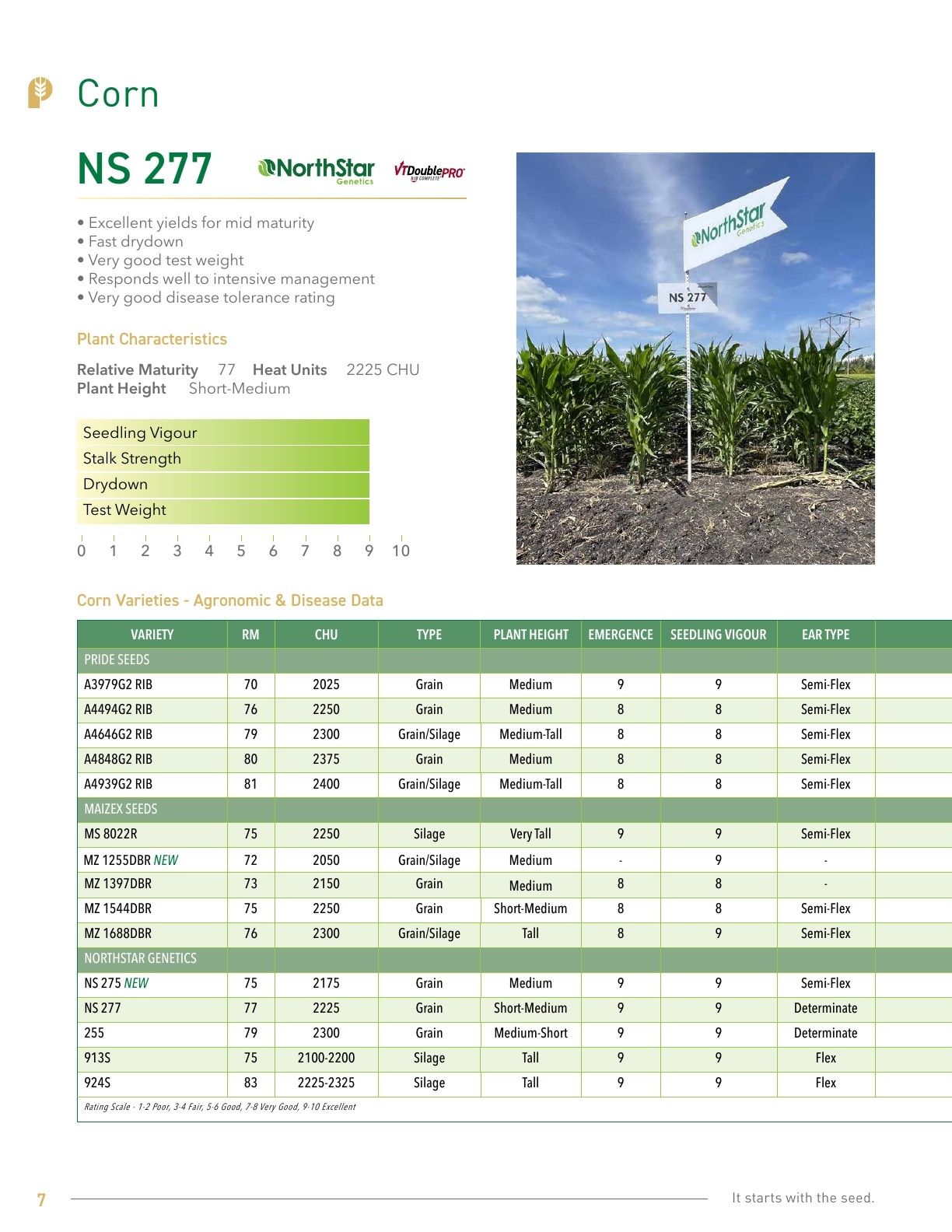 Pitura Seeds Seed Guide Weekly Ad January 1 - December 31, 2026