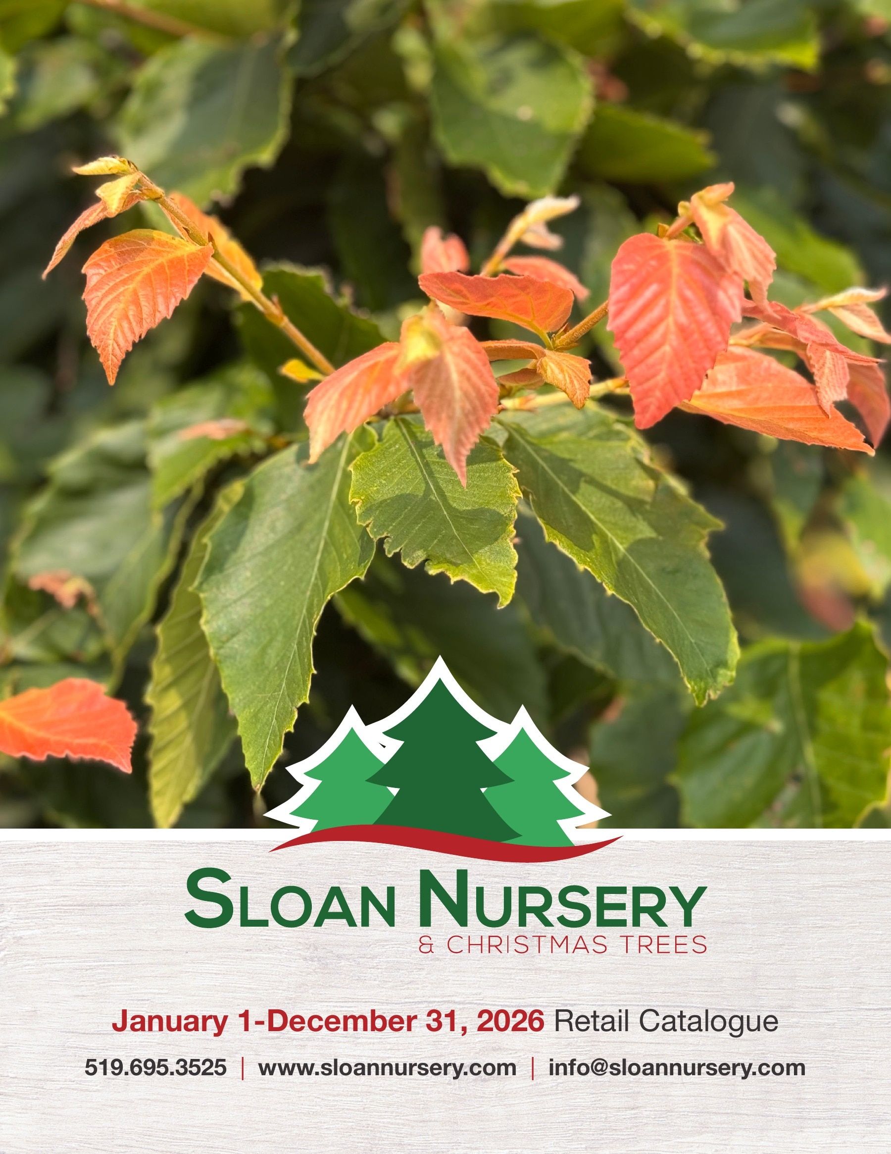 Sloan Nursery & Christmas Trees Annual Retail Catalog Weekly Ad January 1 - December 31, 2026