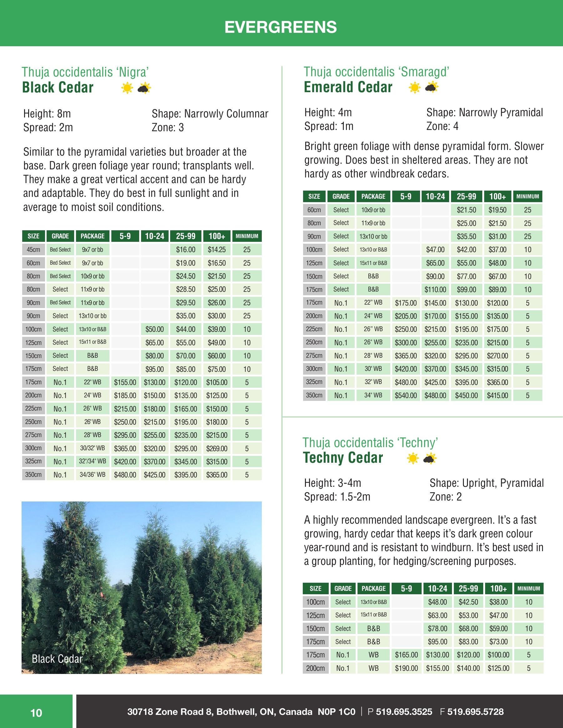 Sloan Nursery & Christmas Trees Annual Retail Catalog Weekly Ad January 1 - December 31, 2026