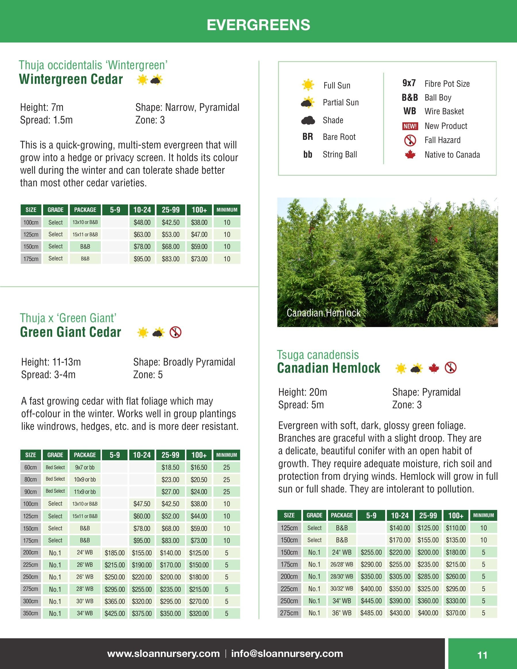 Sloan Nursery & Christmas Trees Annual Retail Catalog Weekly Ad January 1 - December 31, 2026
