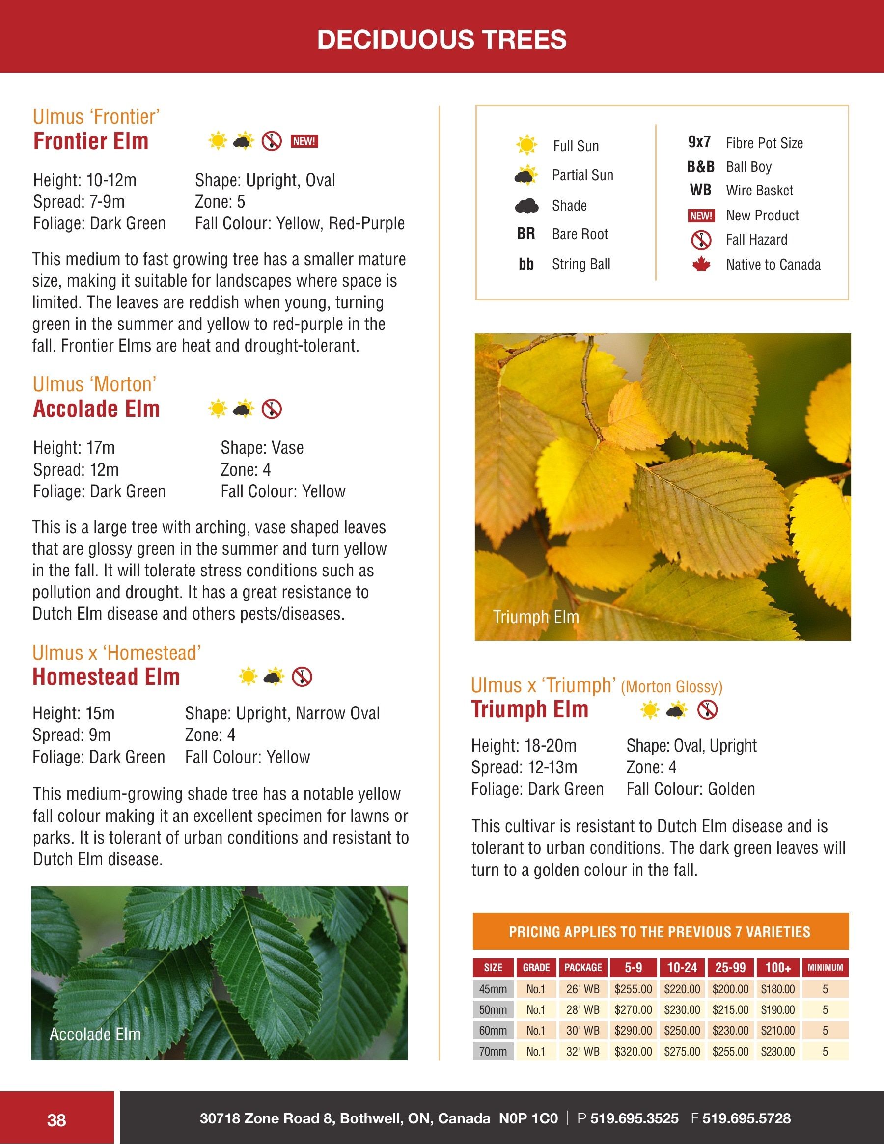 Sloan Nursery & Christmas Trees Annual Retail Catalog Weekly Ad January 1 - December 31, 2026