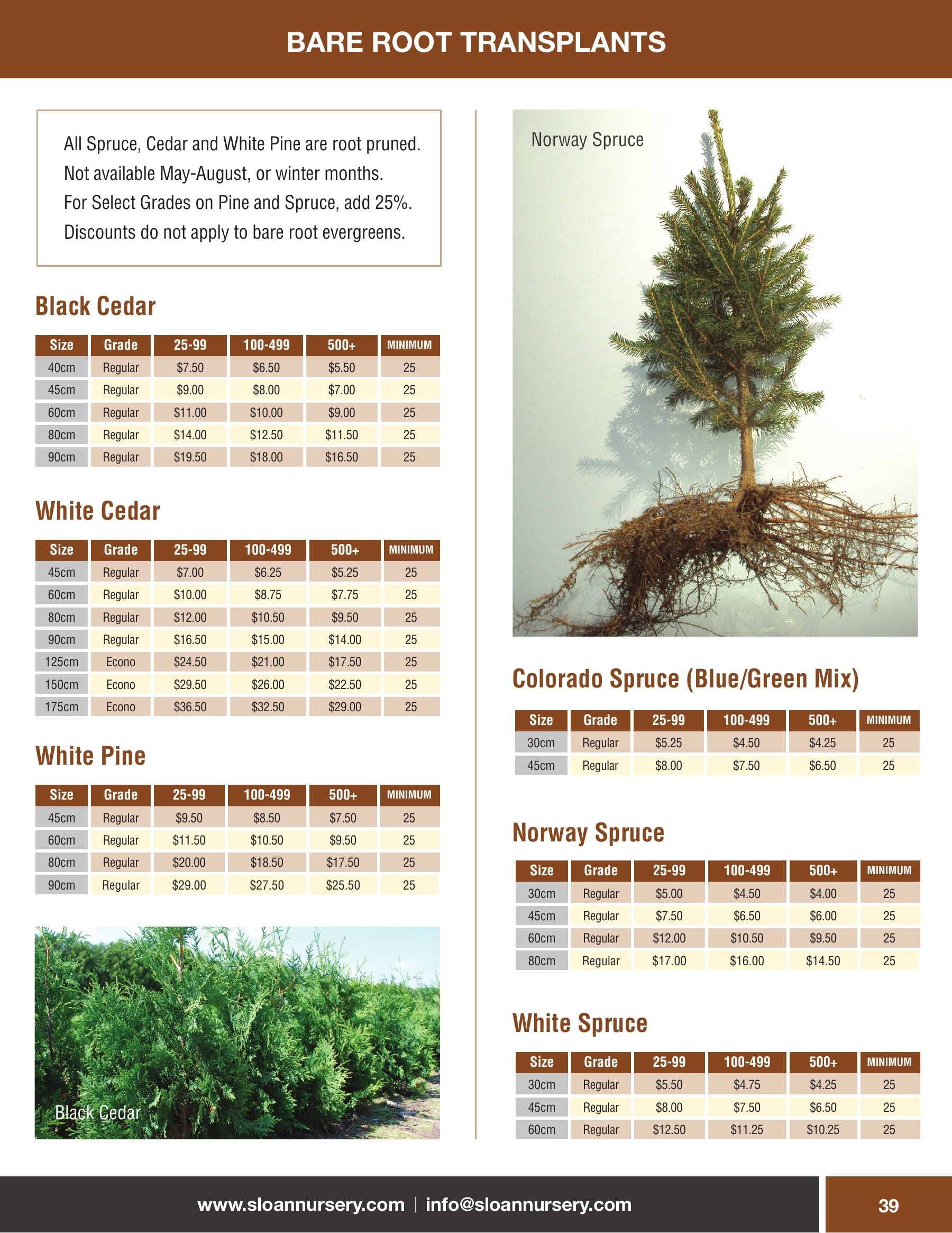 Sloan Nursery & Christmas Trees Annual Retail Catalog Weekly Ad January 1 - December 31, 2026