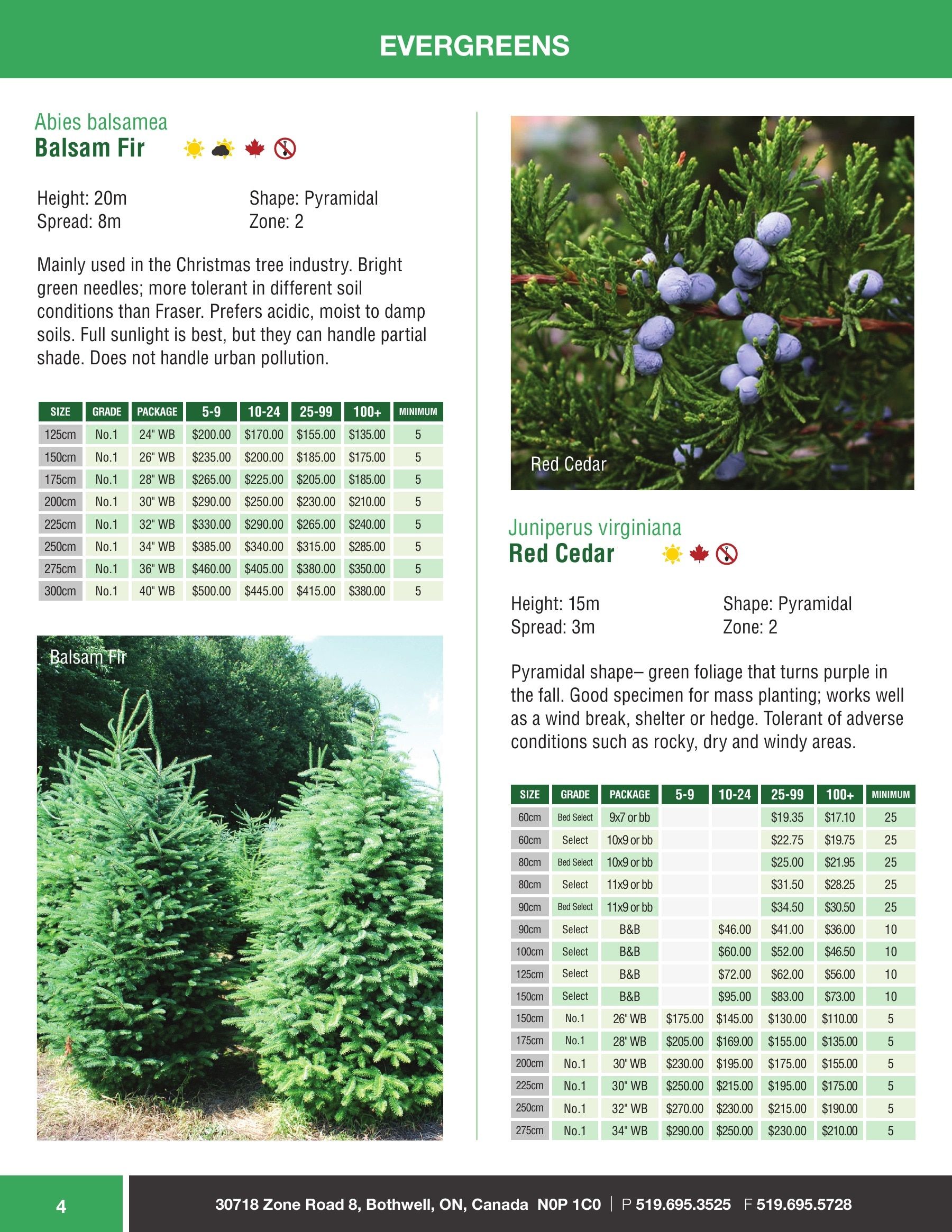 Sloan Nursery & Christmas Trees Annual Retail Catalog Weekly Ad January 1 - December 31, 2026