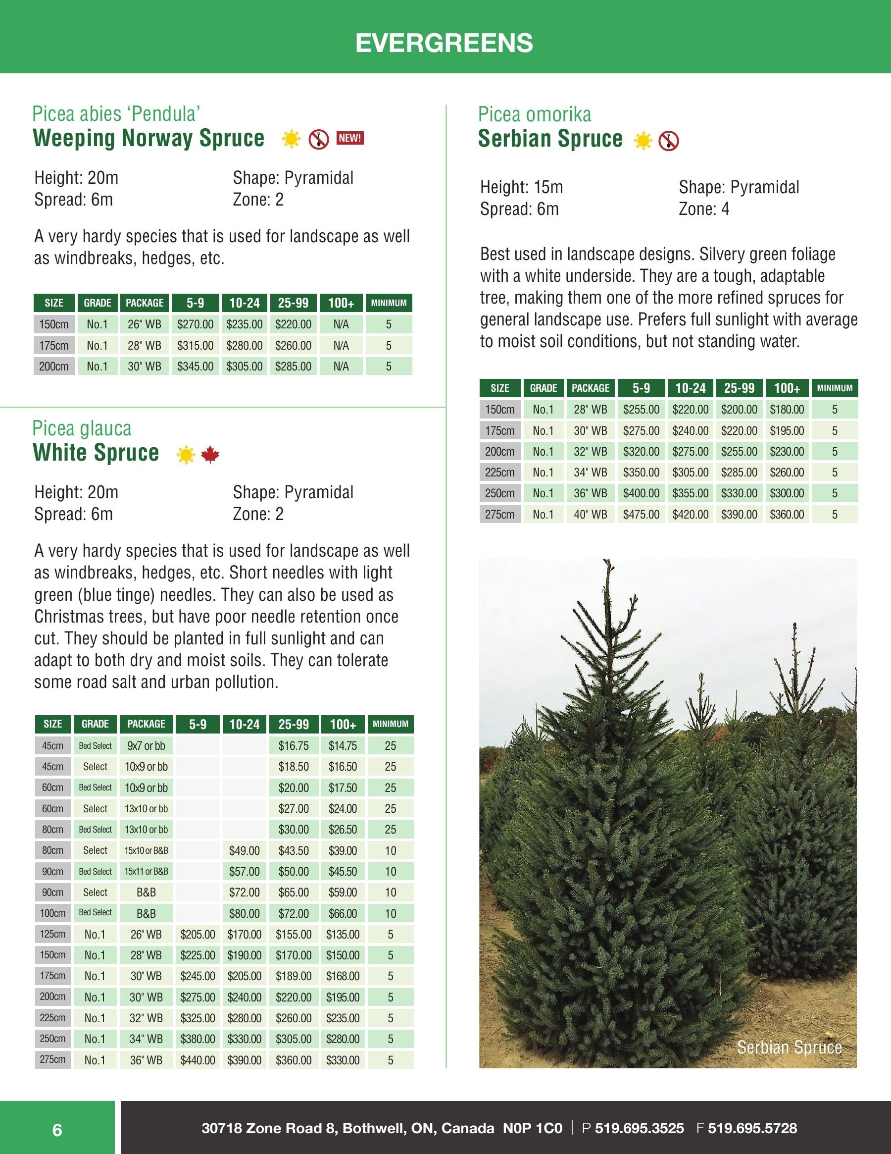 Sloan Nursery & Christmas Trees Annual Retail Catalog Weekly Ad January 1 - December 31, 2026