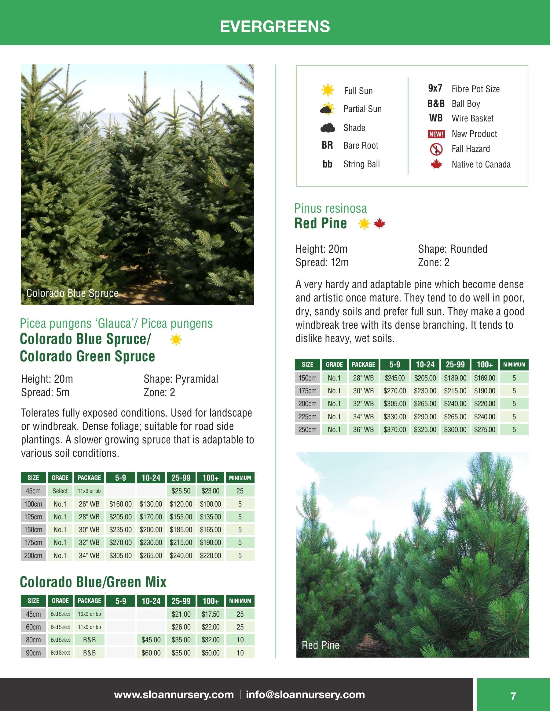 Sloan Nursery & Christmas Trees Annual Retail Catalog Weekly Ad January 1 - December 31, 2026