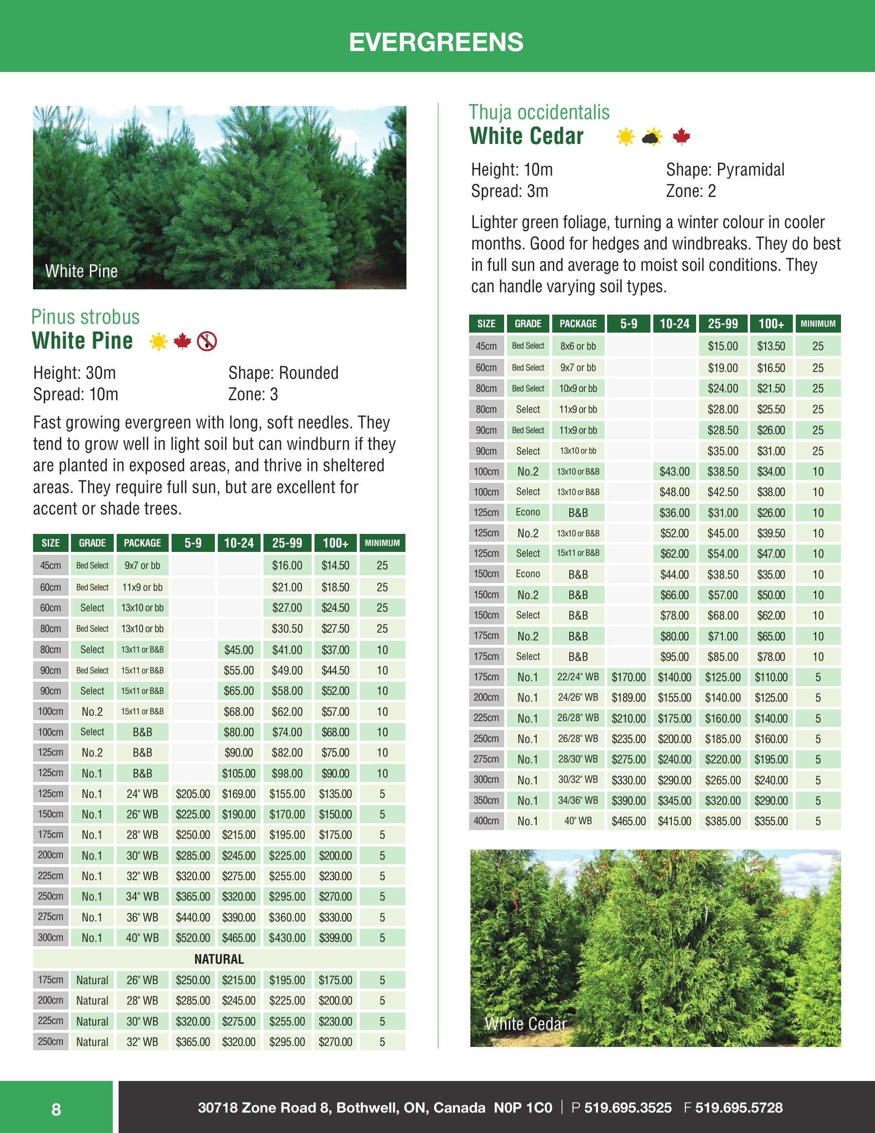 Sloan Nursery & Christmas Trees Annual Retail Catalog Weekly Ad January 1 - December 31, 2026