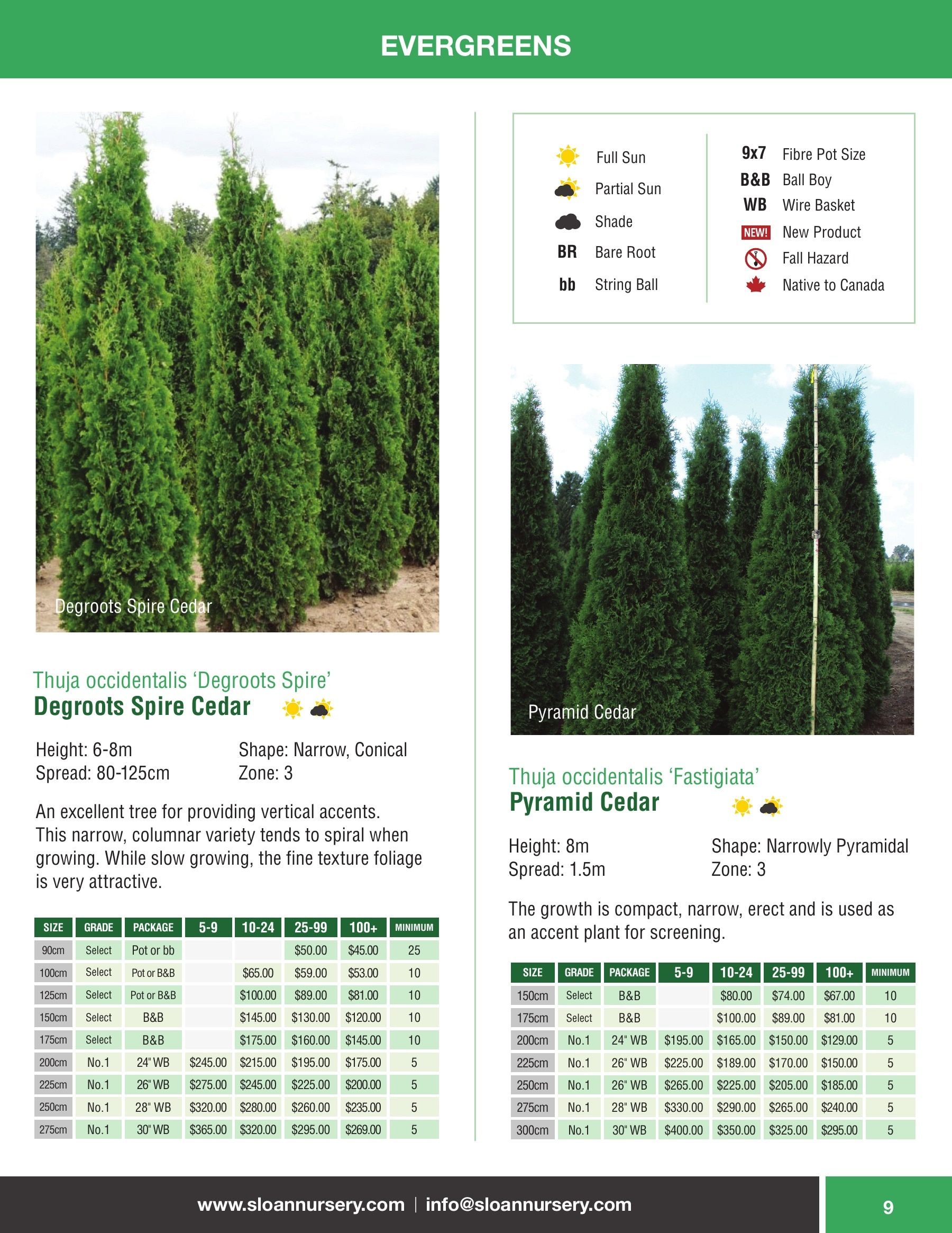 Sloan Nursery & Christmas Trees Annual Retail Catalog Weekly Ad January 1 - December 31, 2026