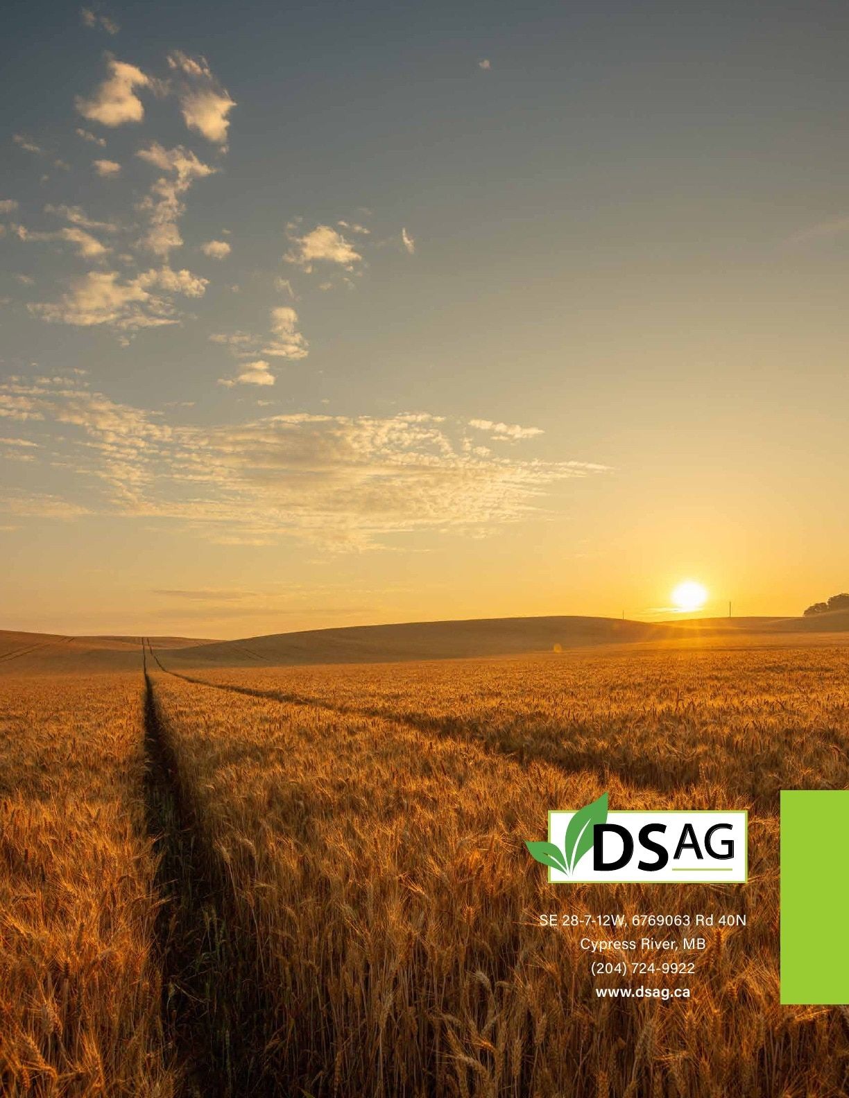 DSAG Seed Guide Weekly Ad January 1 - December 31, 2026