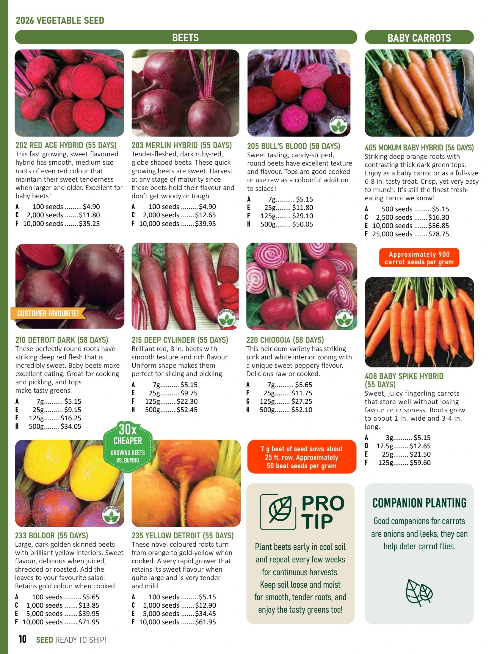 T&T Seeds Catalogue Weekly Ad January 1 - December 31, 2026