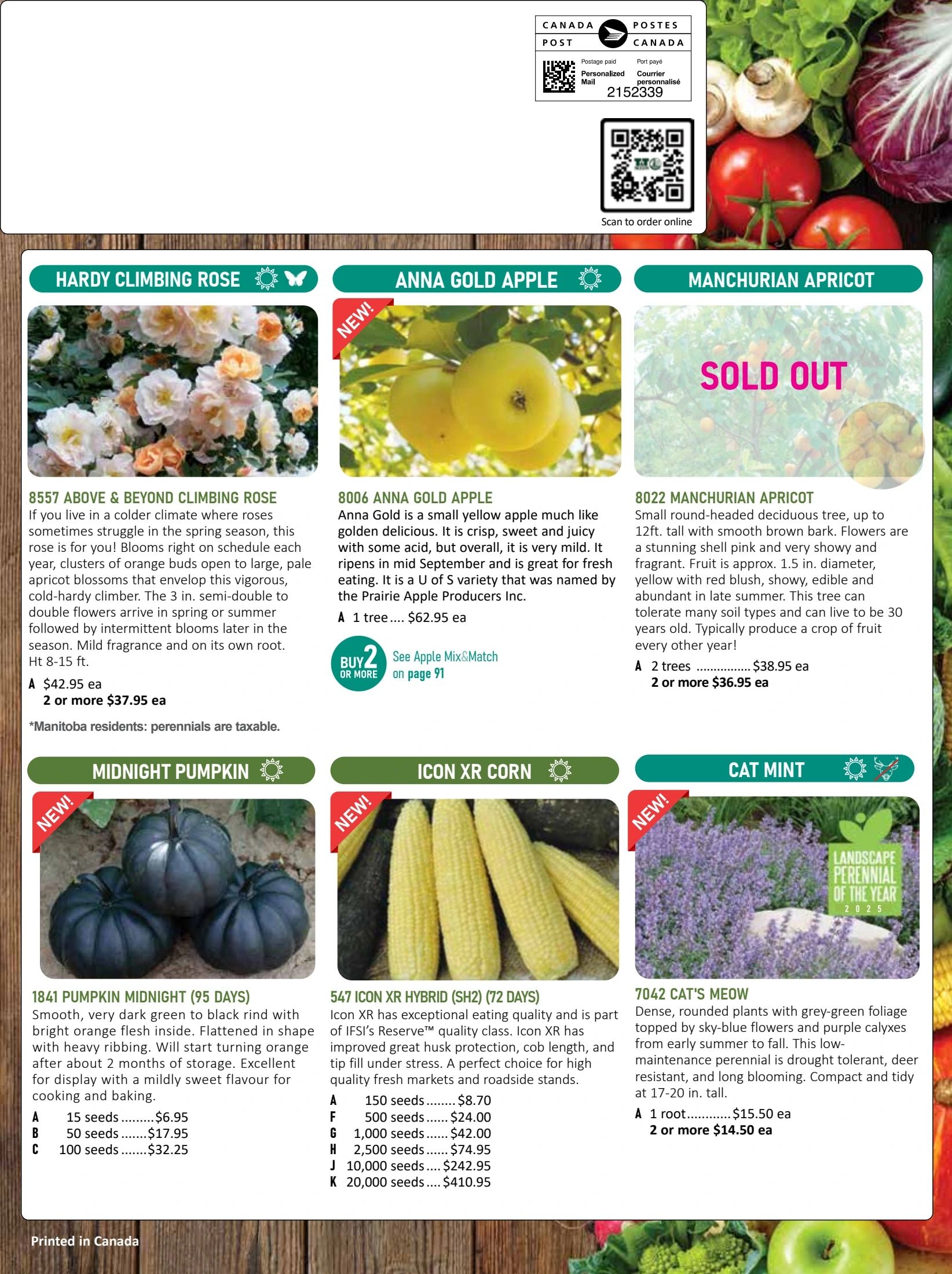 T&T Seeds Catalogue Weekly Ad January 1 - December 31, 2026
