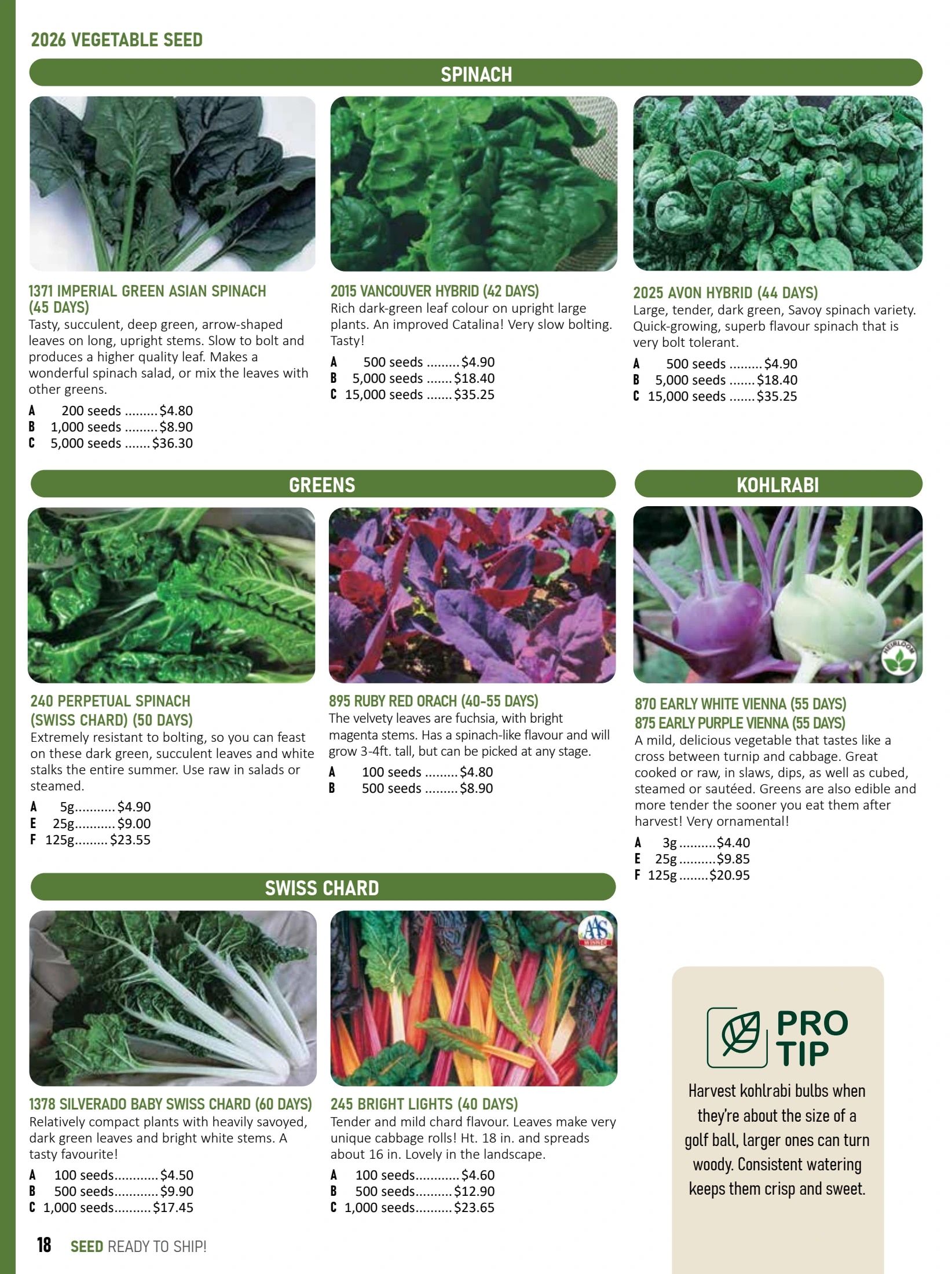 T&T Seeds Catalogue Weekly Ad January 1 - December 31, 2026