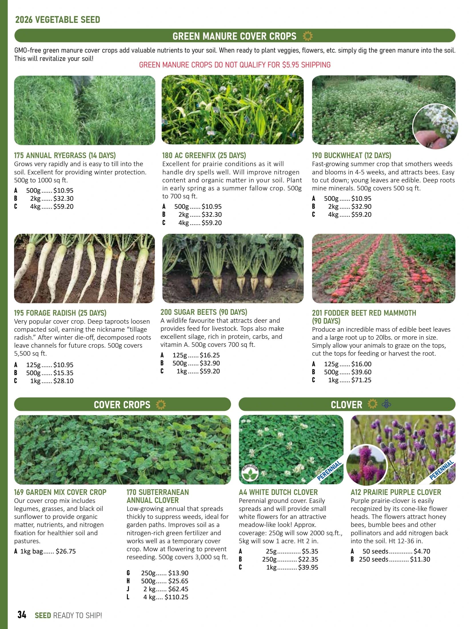 T&T Seeds Catalogue Weekly Ad January 1 - December 31, 2026