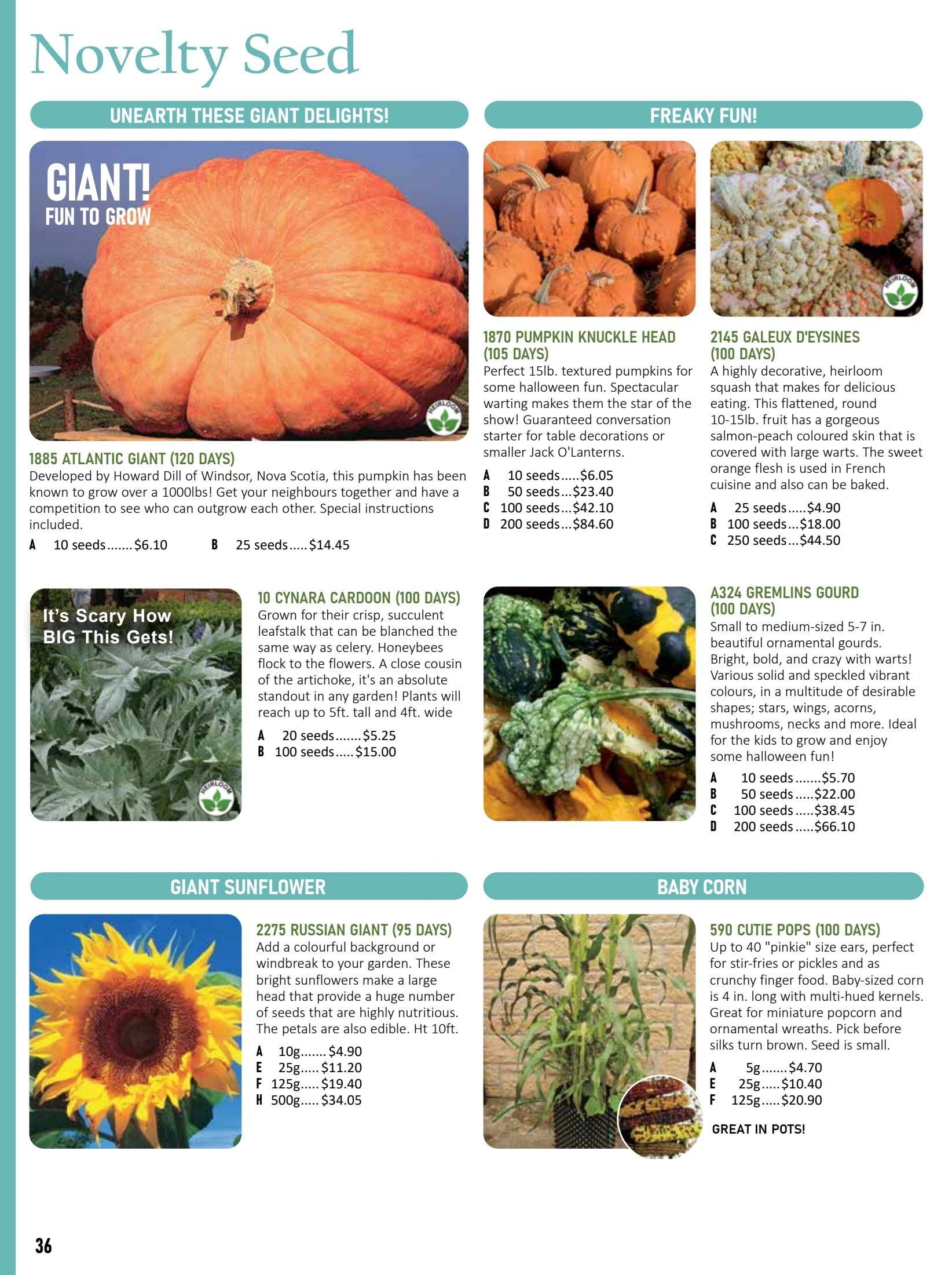 T&T Seeds Catalogue Weekly Ad January 1 - December 31, 2026