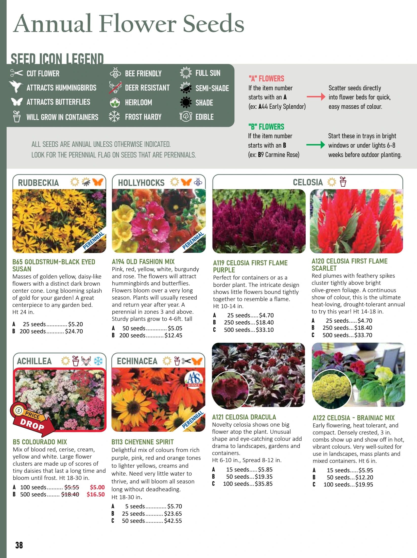 T&T Seeds Catalogue Weekly Ad January 1 - December 31, 2026
