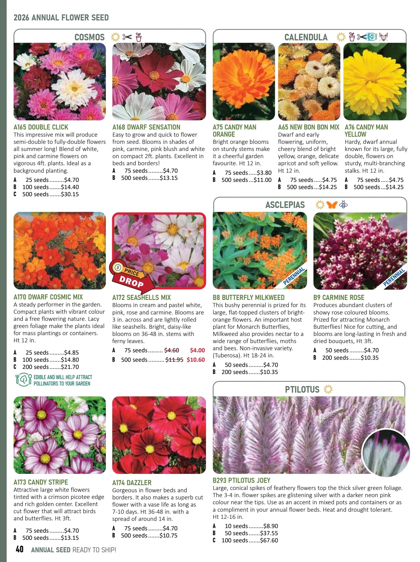T&T Seeds Catalogue Weekly Ad January 1 - December 31, 2026