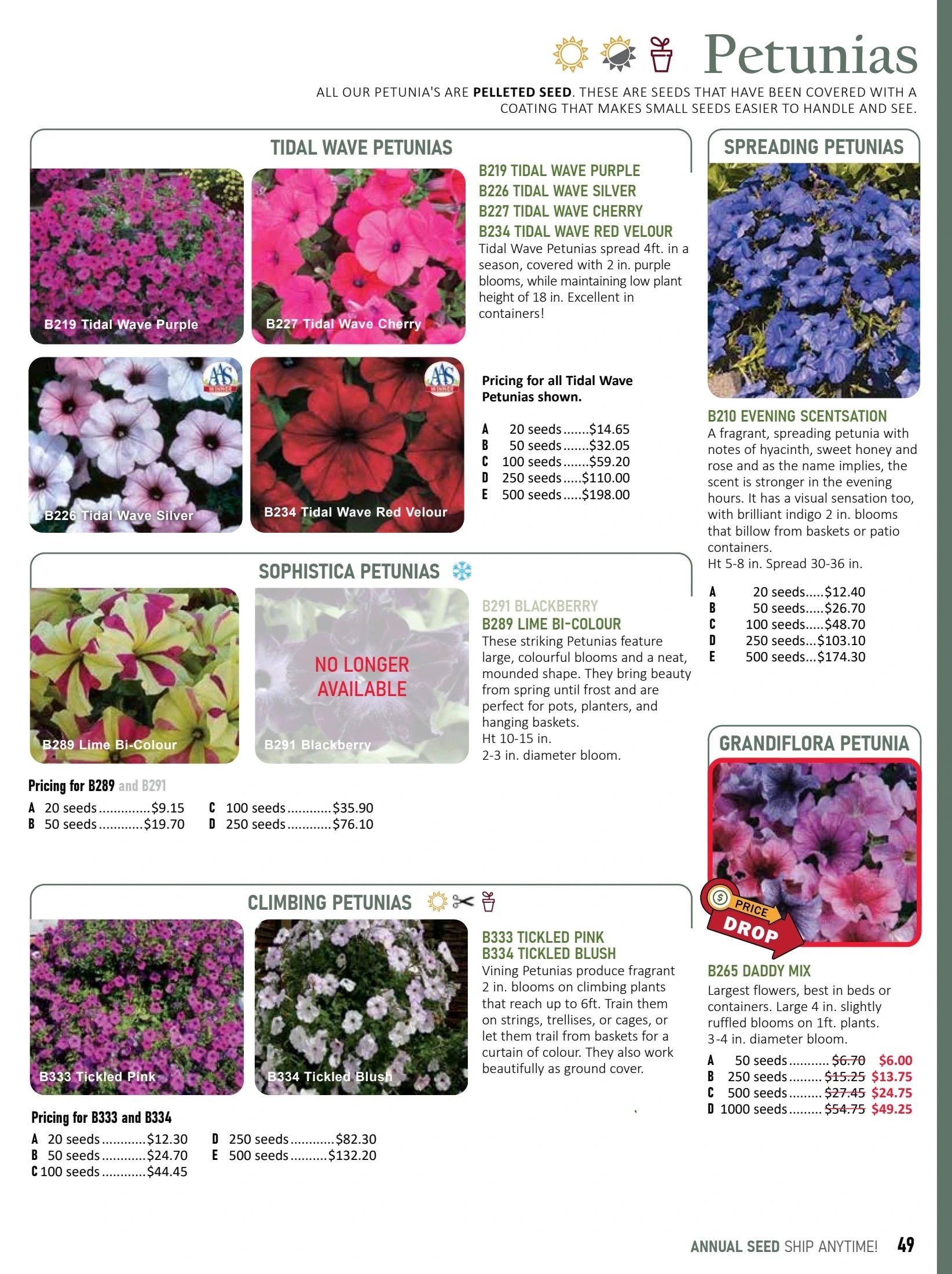 T&T Seeds Catalogue Weekly Ad January 1 - December 31, 2026
