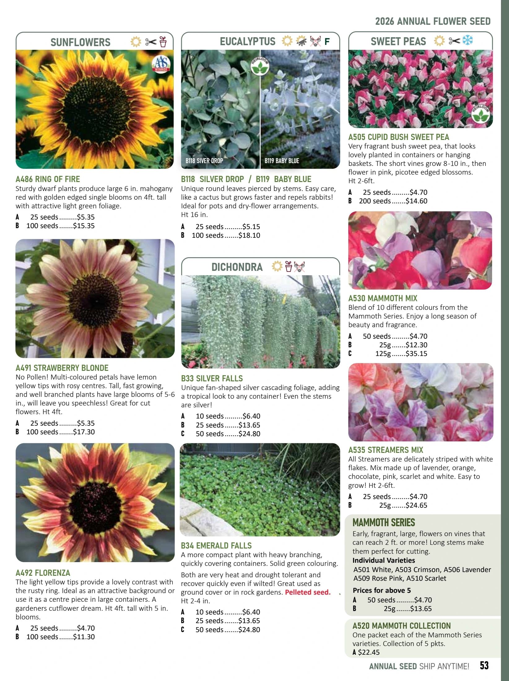 T&T Seeds Catalogue Weekly Ad January 1 - December 31, 2026