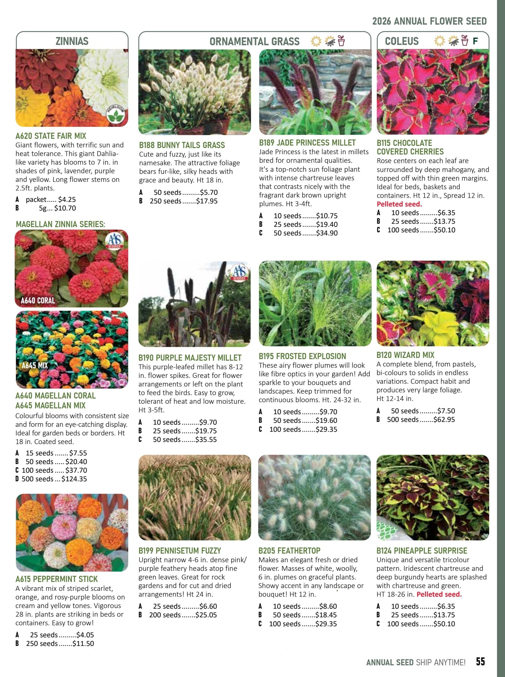T&T Seeds Catalogue Weekly Ad January 1 - December 31, 2026