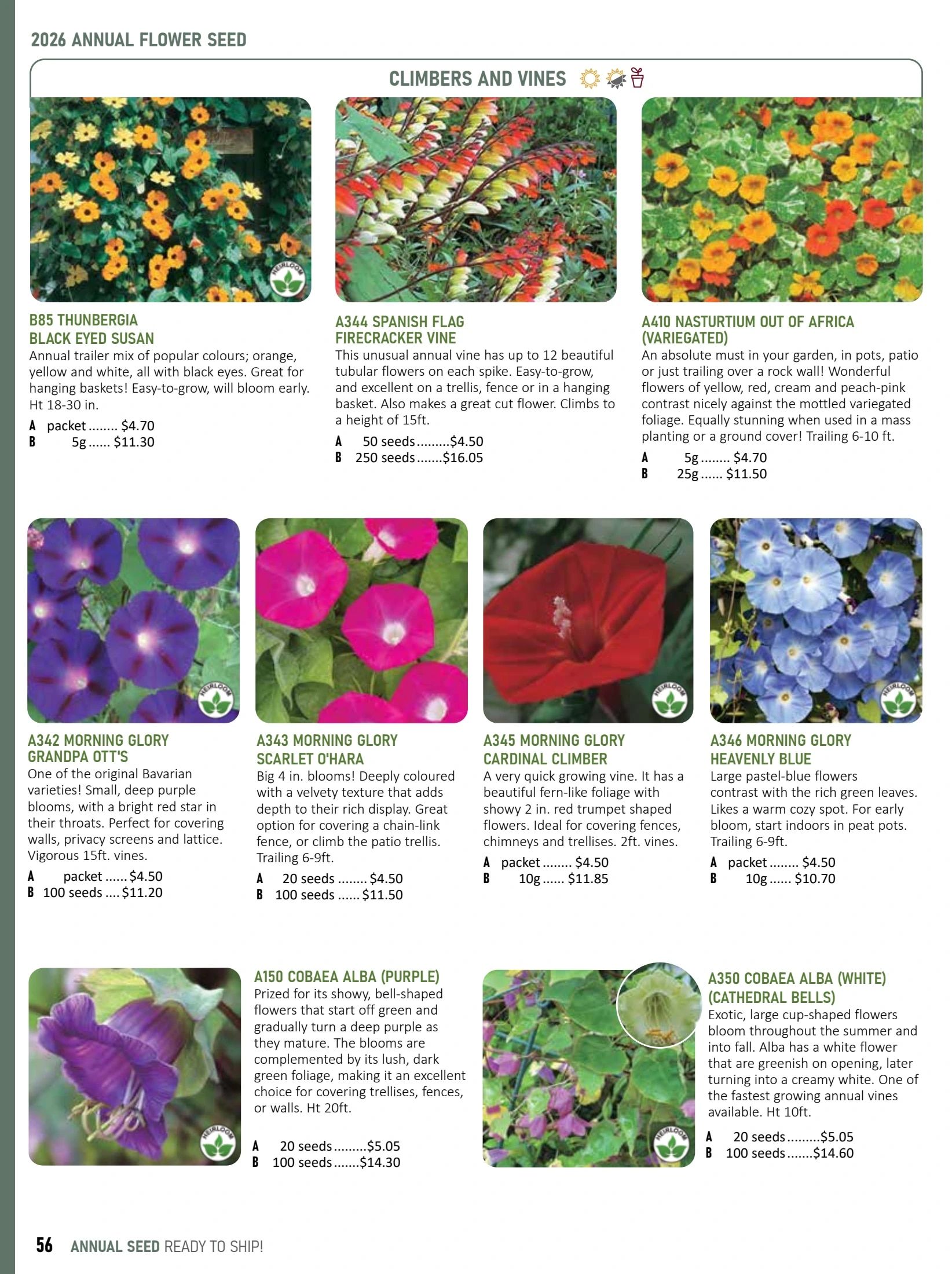 T&T Seeds Catalogue Weekly Ad January 1 - December 31, 2026
