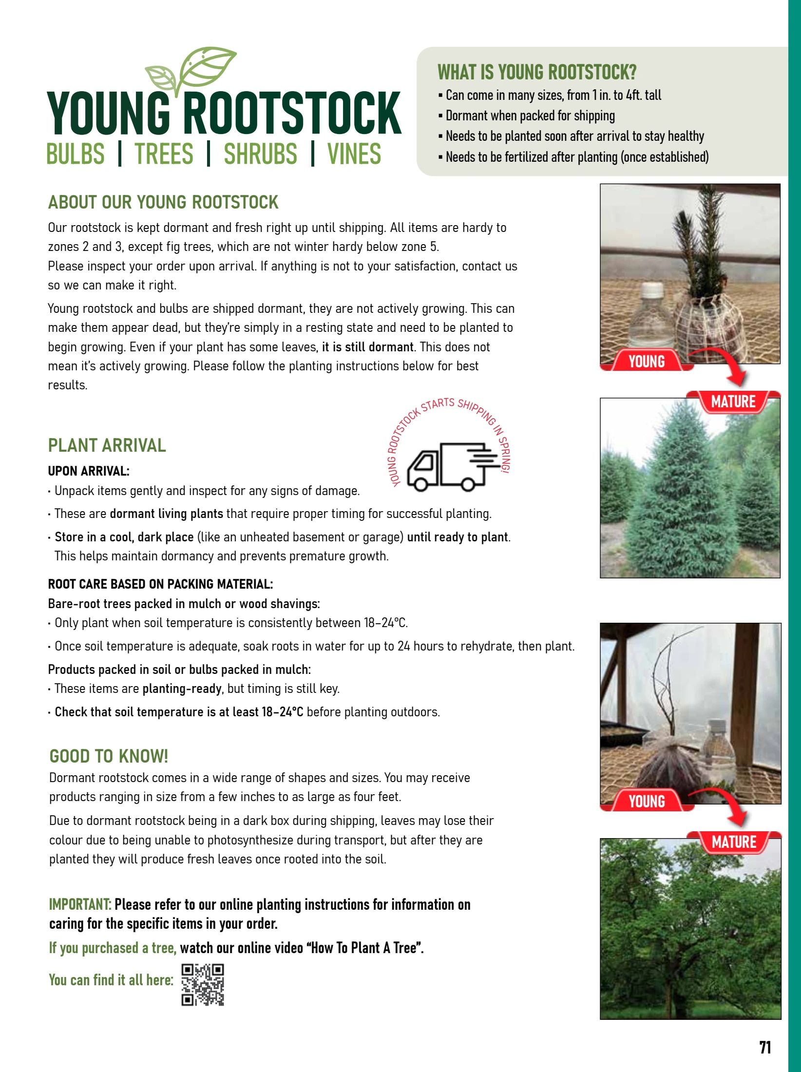 T&T Seeds Catalogue Weekly Ad January 1 - December 31, 2026